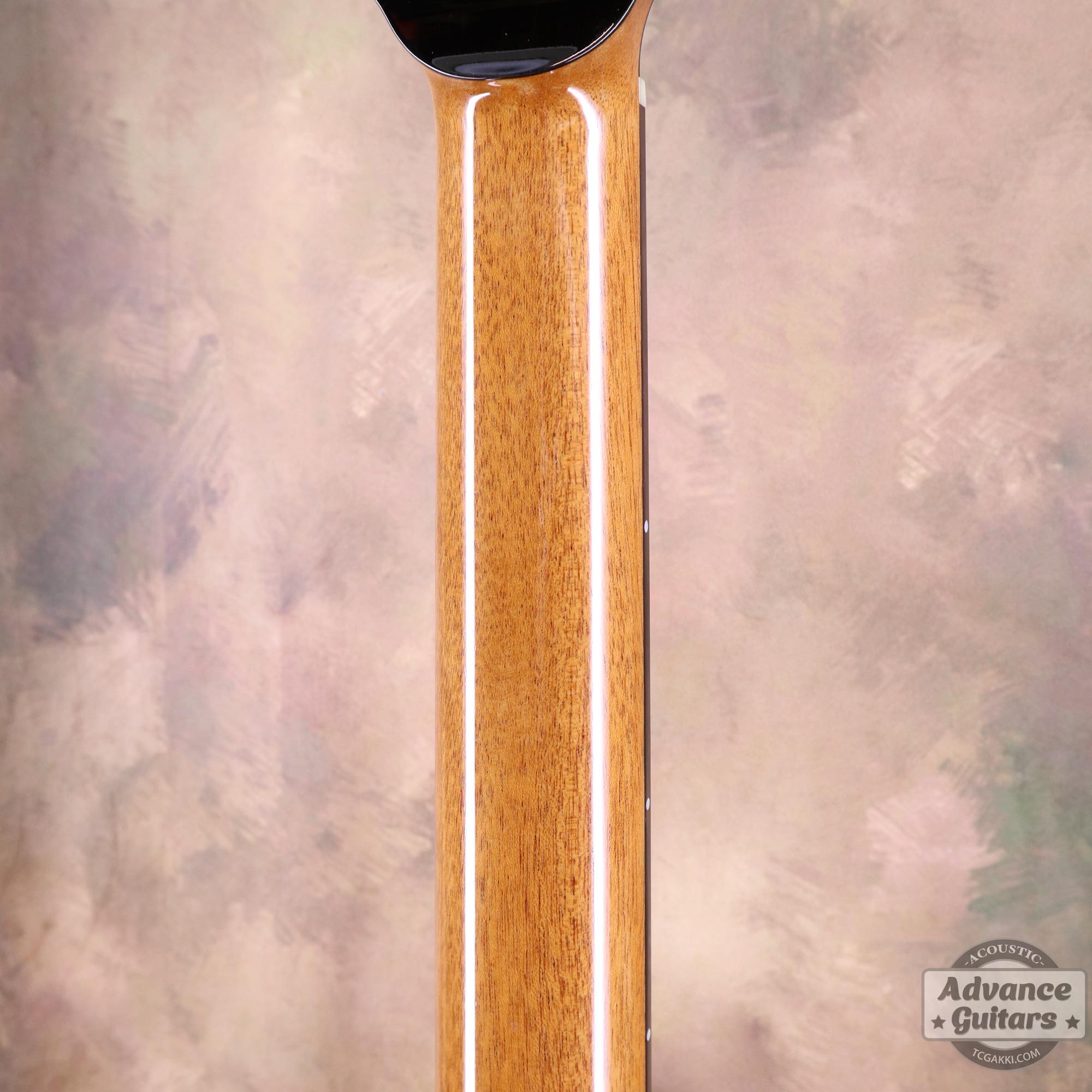 GA - TC楽器 - TCGAKKI