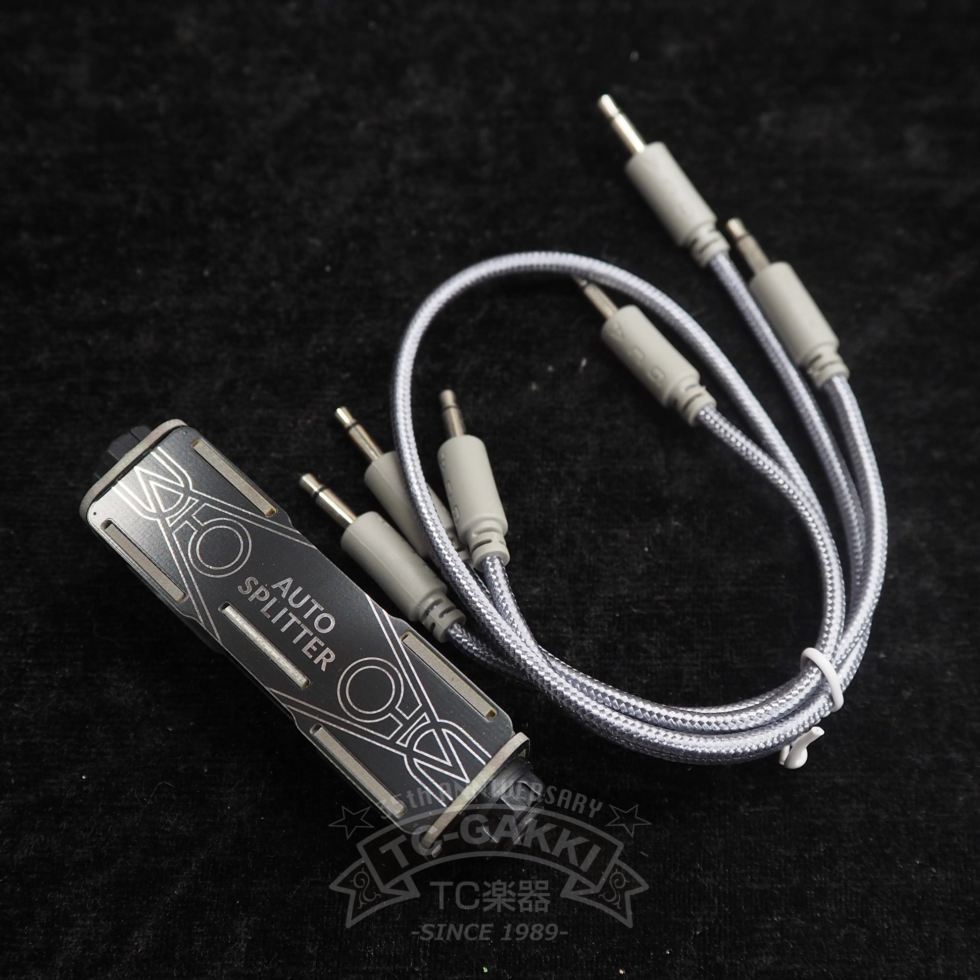 GAMECHANGER AUDIO AUTO DELAY - TC楽器 - TCGAKKI