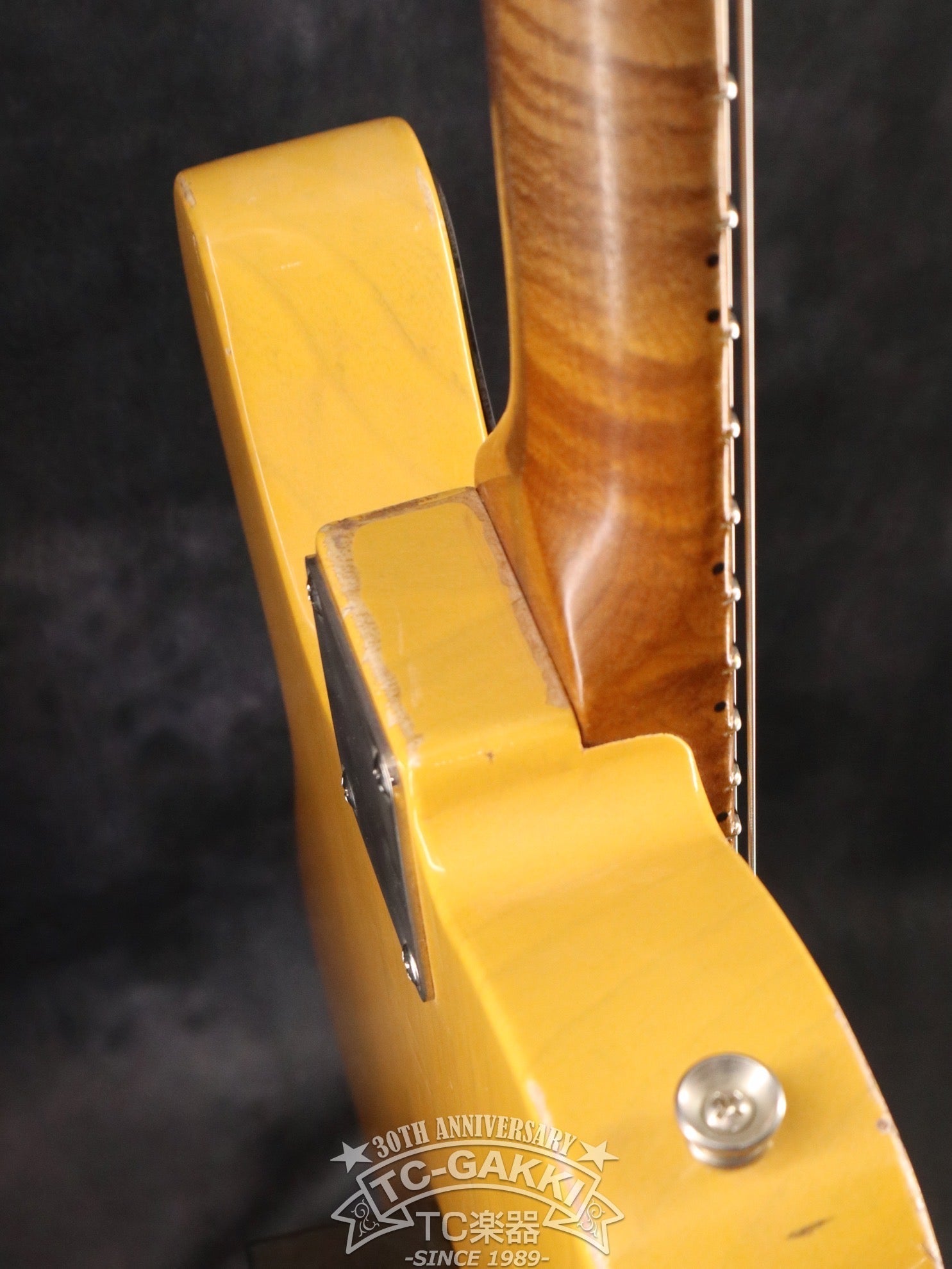 Gatton Butterscotch - TC楽器 - TCGAKKI