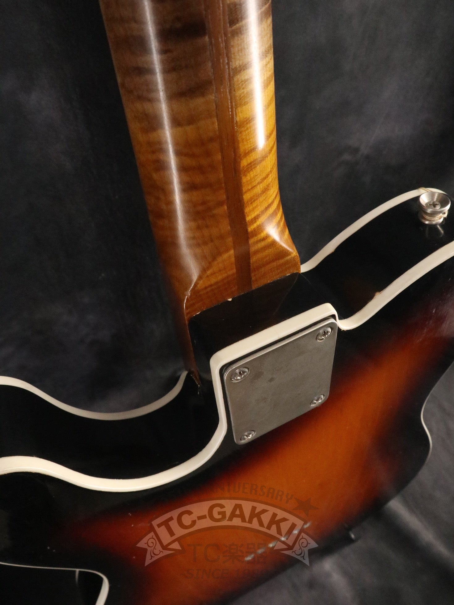 Gatton Double Binding - TC楽器 - TCGAKKI