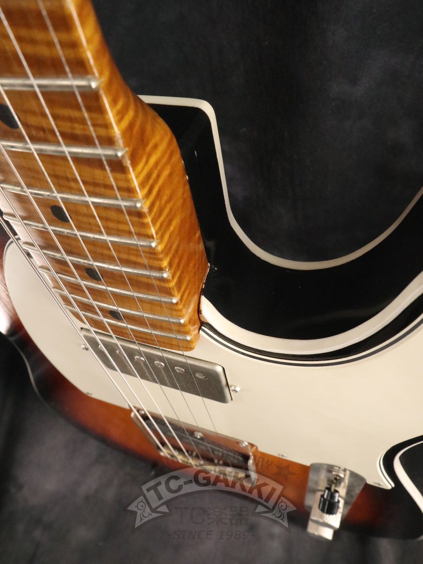 Gatton Double Binding - TC楽器 - TCGAKKI
