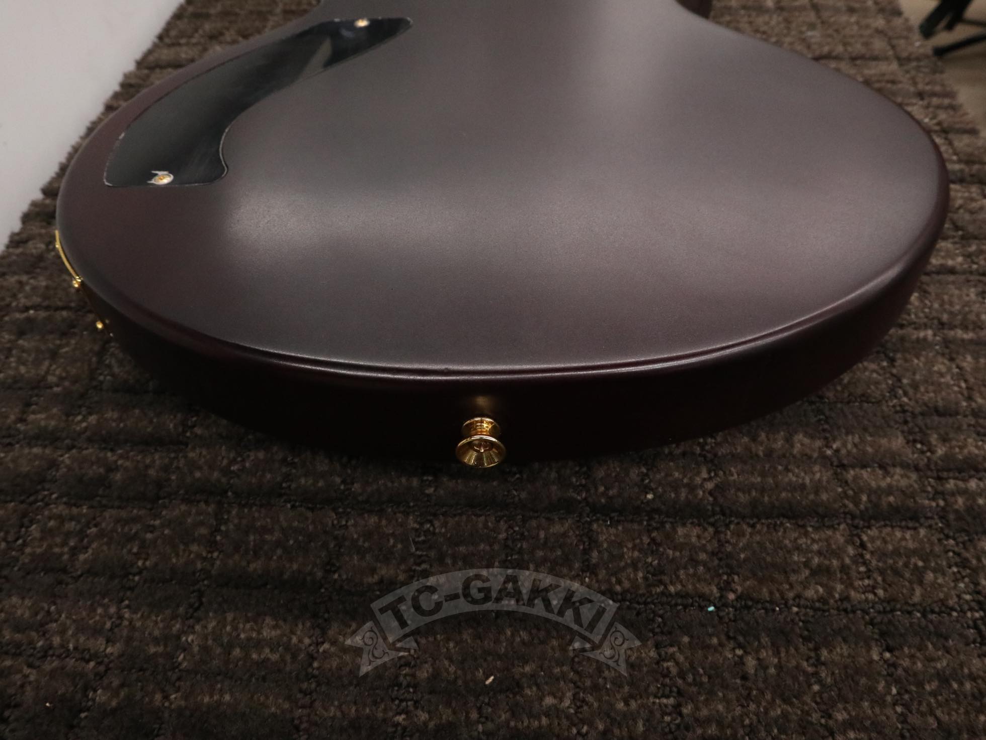 GE - 01 Limited Series - TC楽器 - TCGAKKI