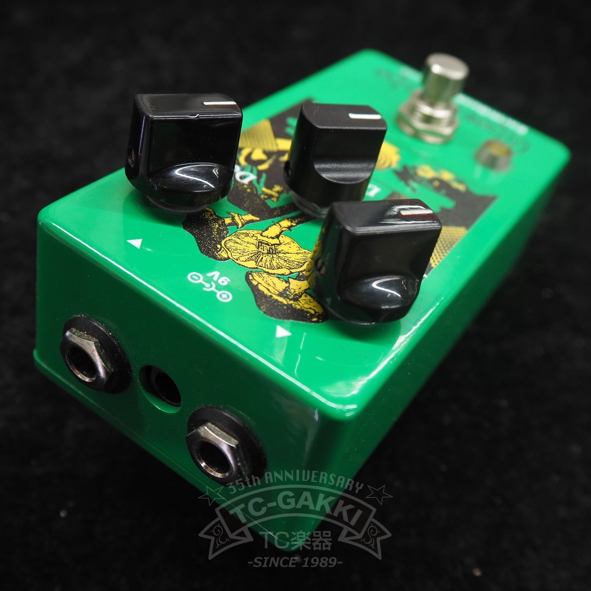 Ghost Echo Brain Dead - TC楽器 - TCGAKKI