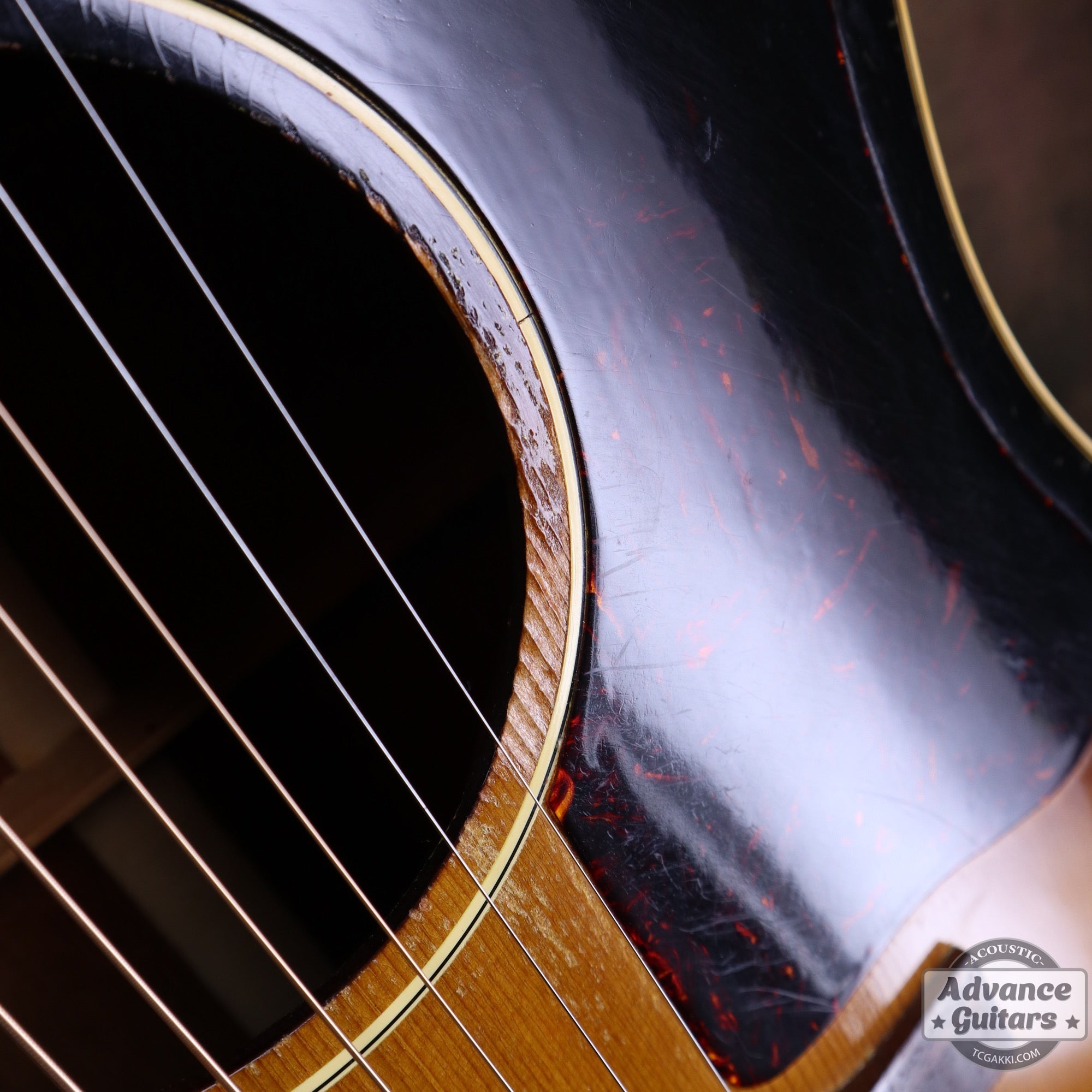 Gibson 1955年製 J - 45 - TC楽器 - TCGAKKI