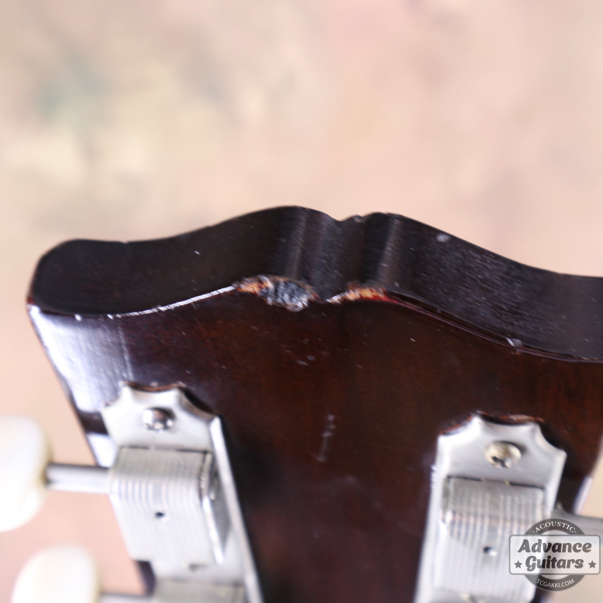 Gibson 1955年製 J - 45 - TC楽器 - TCGAKKI