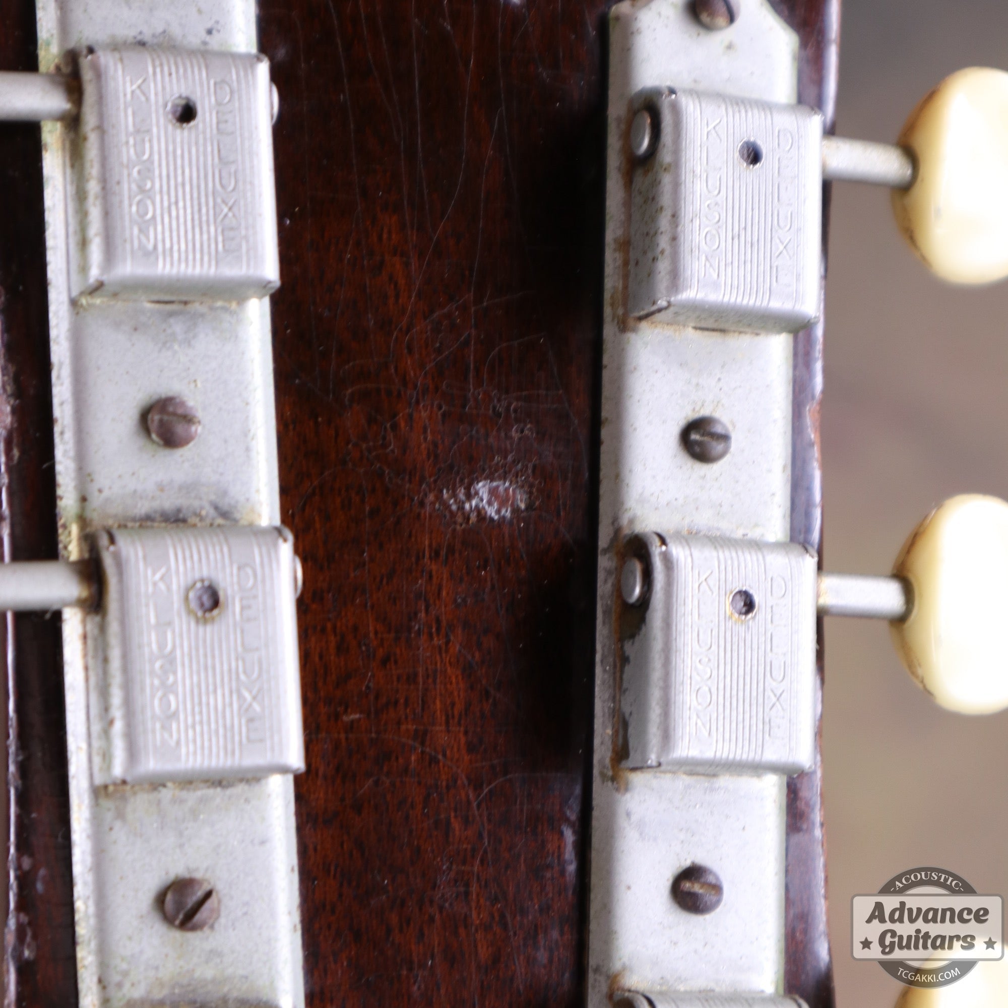 Gibson 1955年製 J-45 - TC楽器 - TCGAKKI