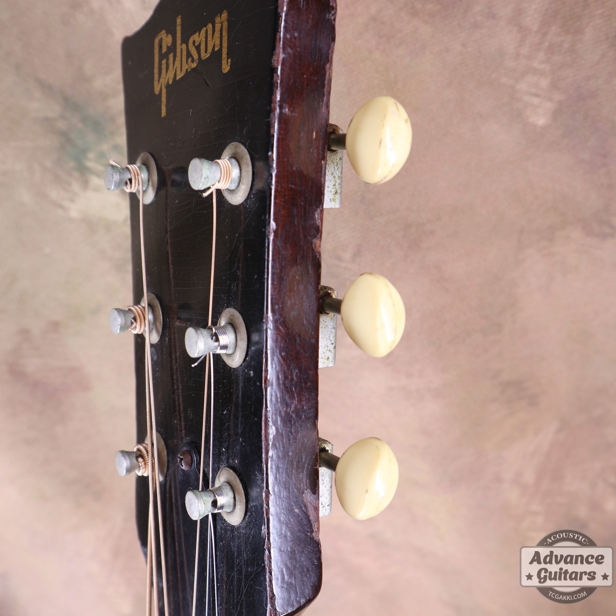 Gibson 1955年製 J-45 - TC楽器 - TCGAKKI