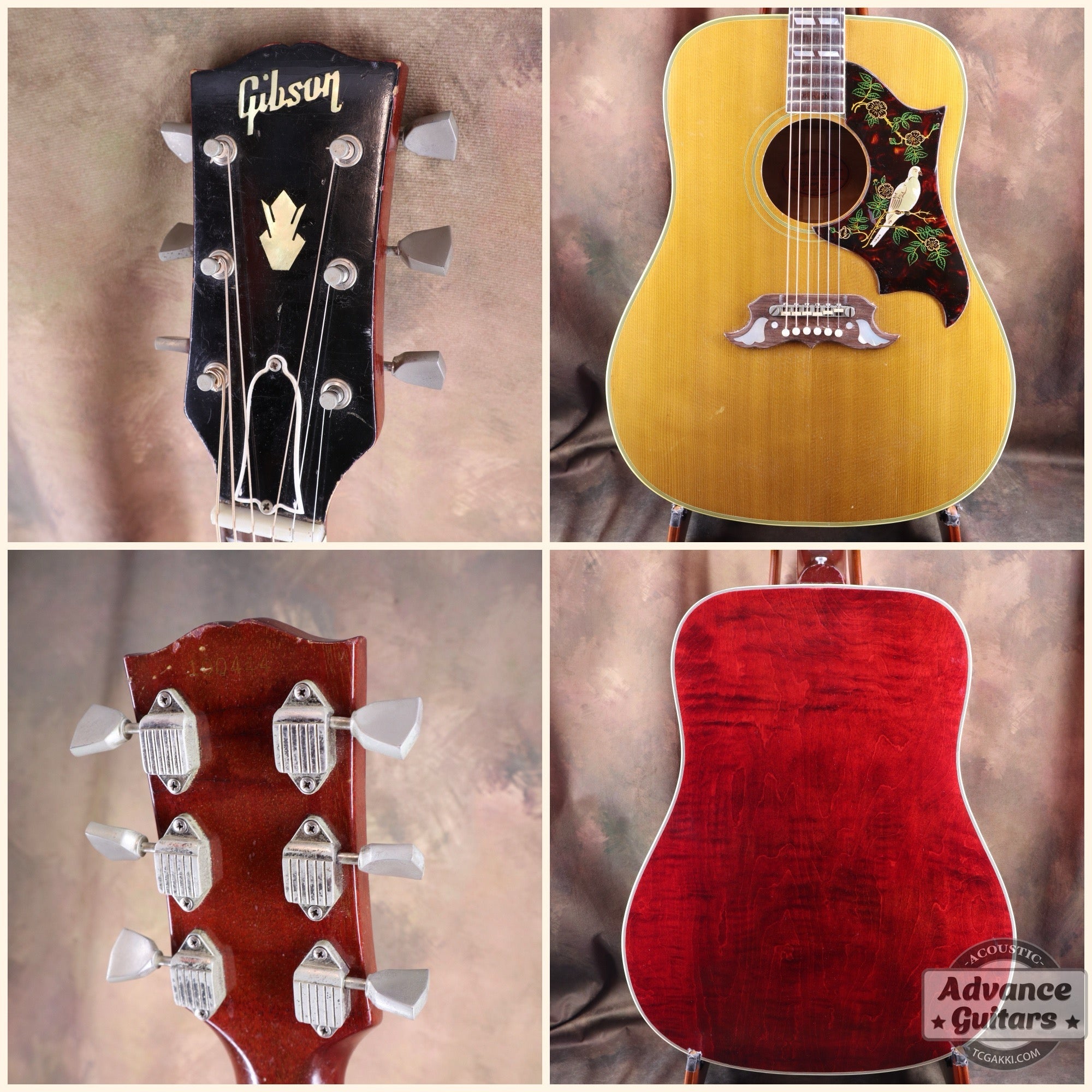 Gibson 1963年製 DOVE - TC楽器 - TCGAKKI