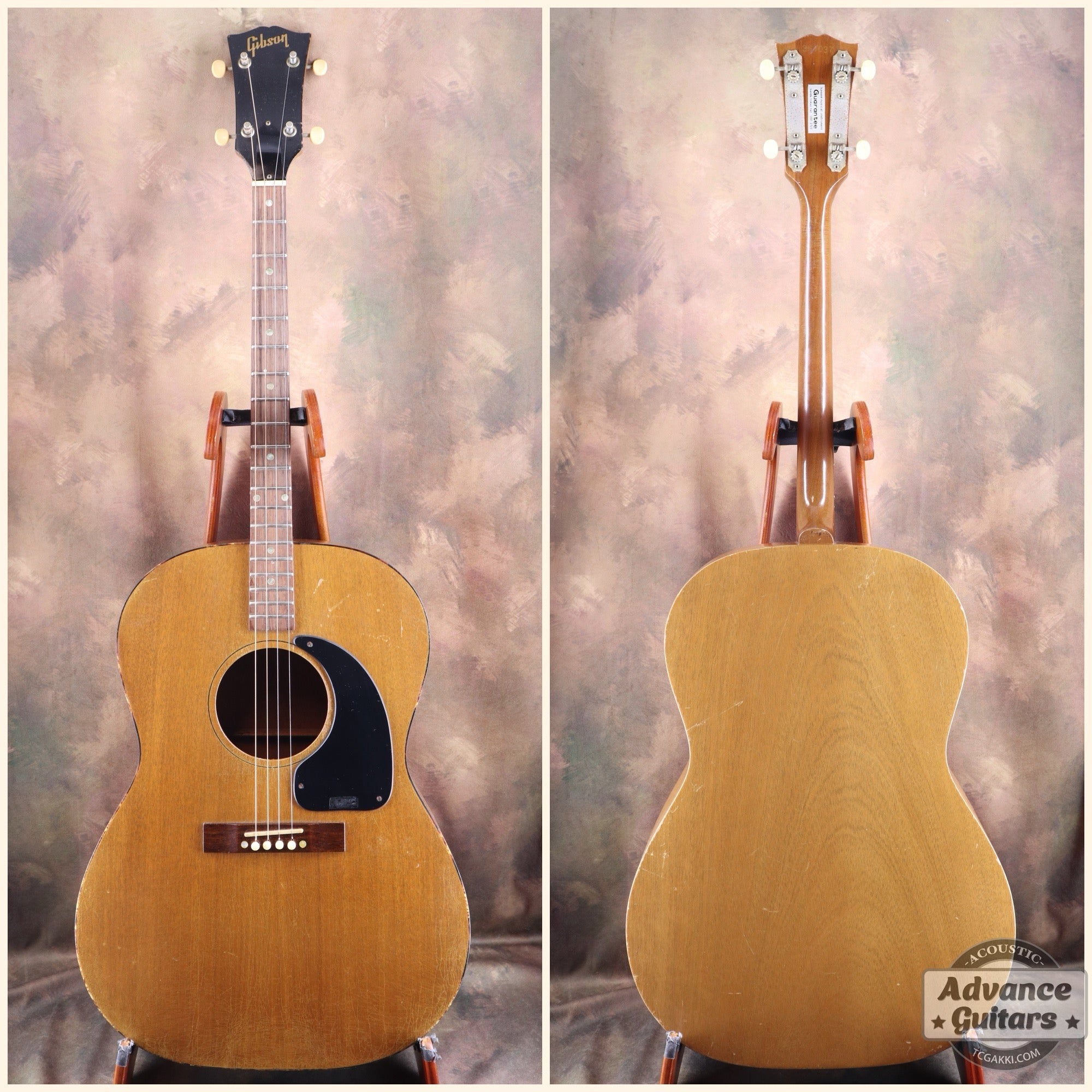 Gibson 1965年製 TG-0