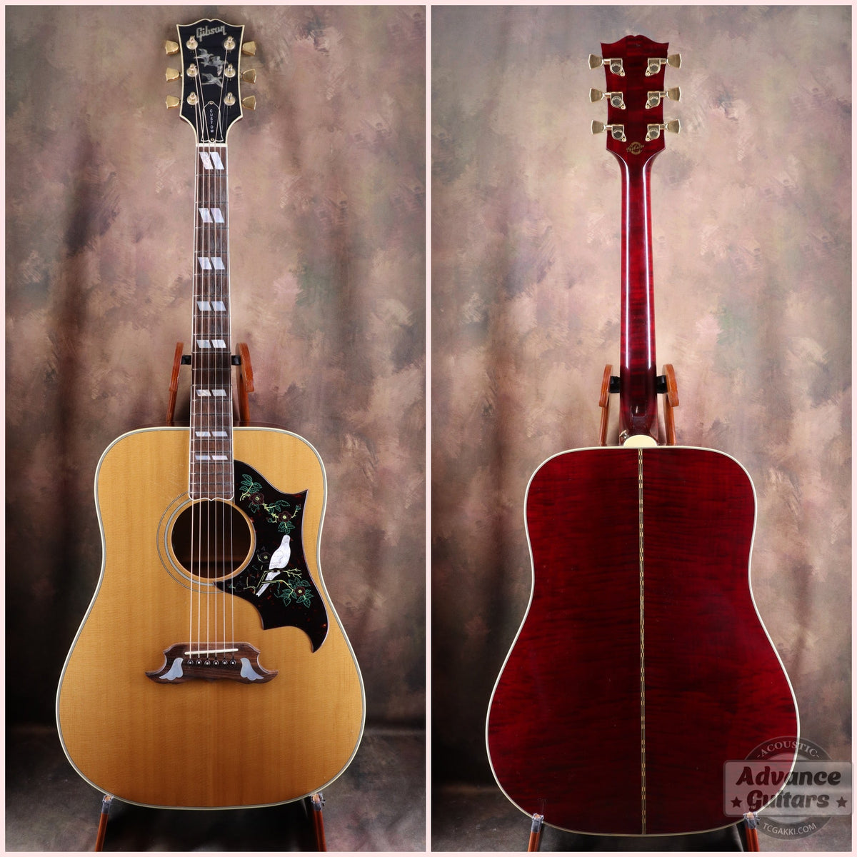 Gibson 1996-97年製 Dove in Flight - TC楽器 - TCGAKKI