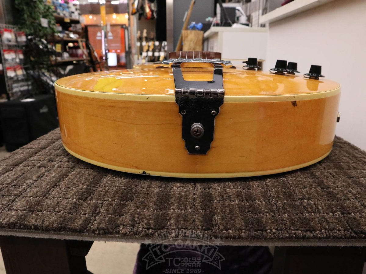 Gibson ES-175D - TC楽器 - TCGAKKI