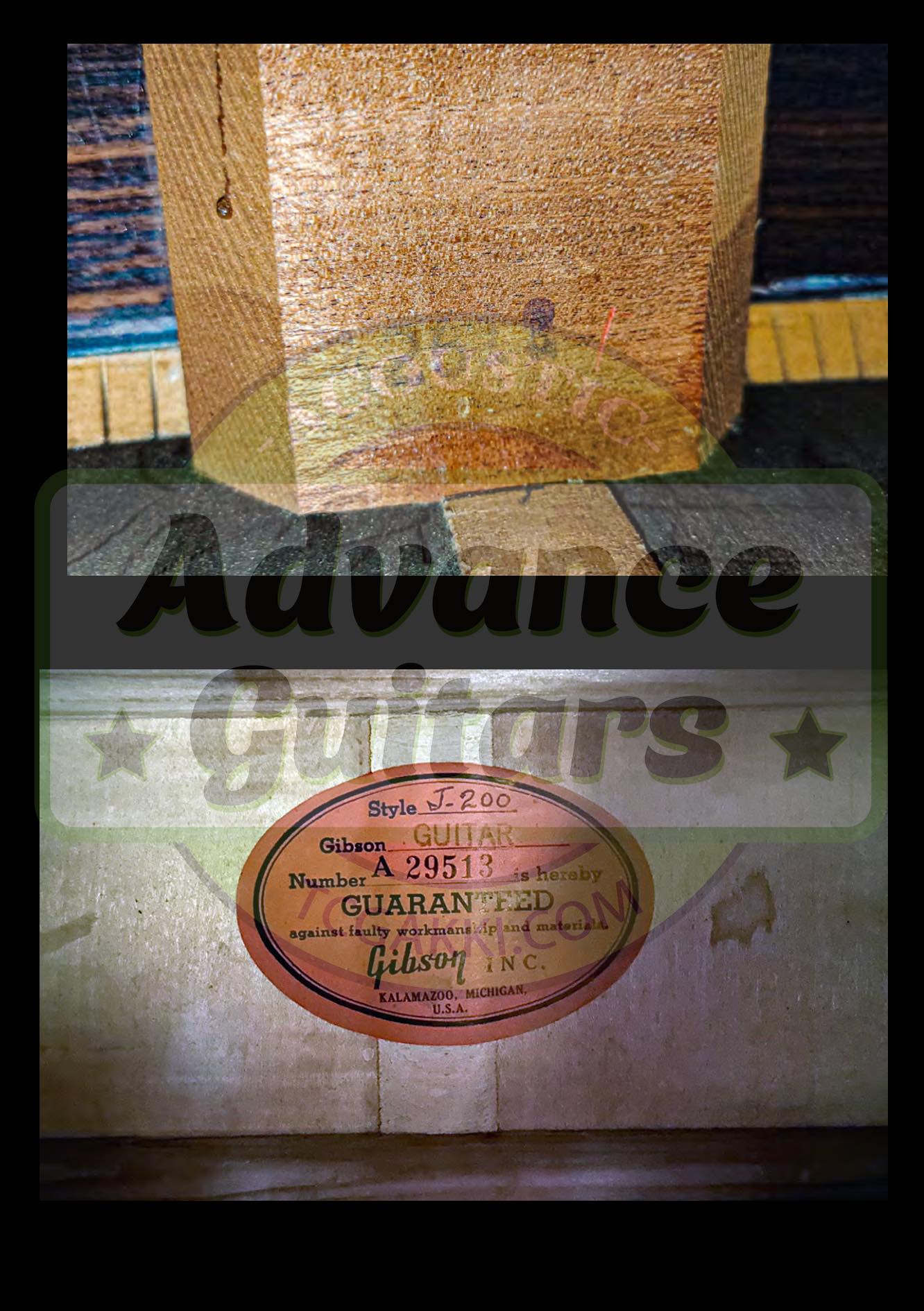 GIBSON KING OF THE FLAT - TOPS ~幻のギターを解明する世界初のSJ資料集~ - TC楽器 - TCGAKKI