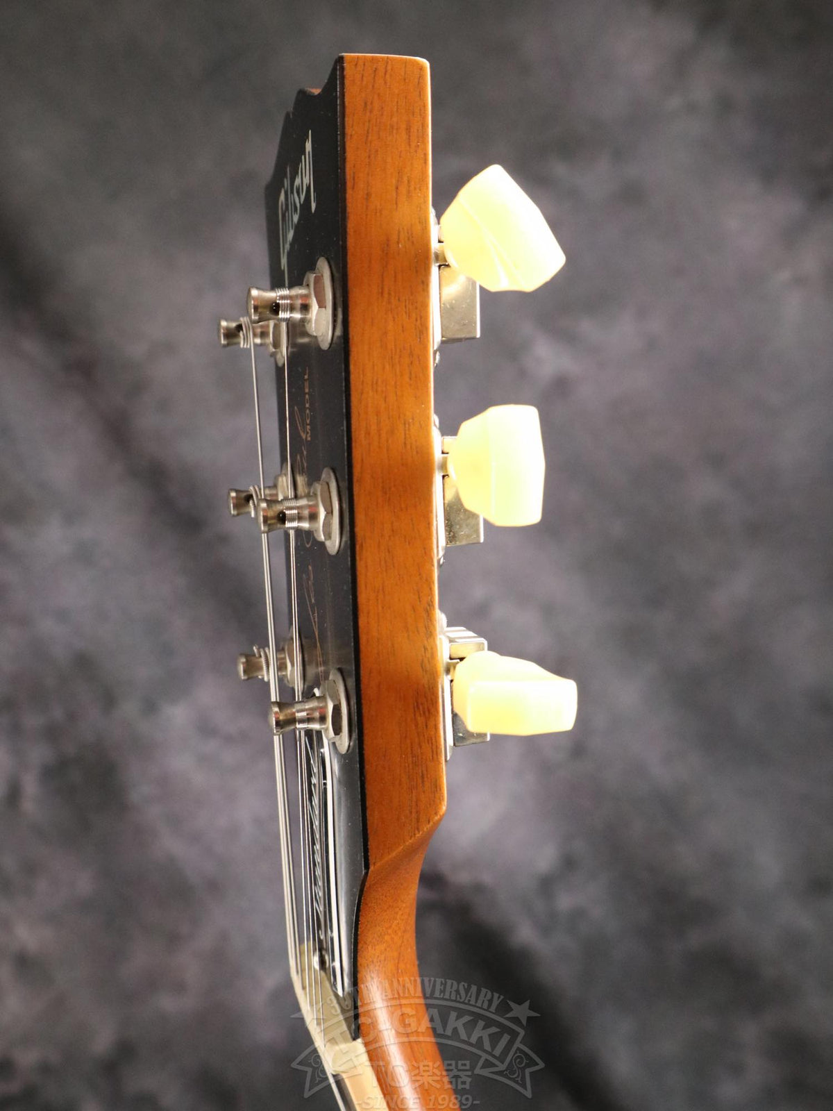 Gibson Les Paul Standard 50s Faded - TC楽器 - TCGAKKI