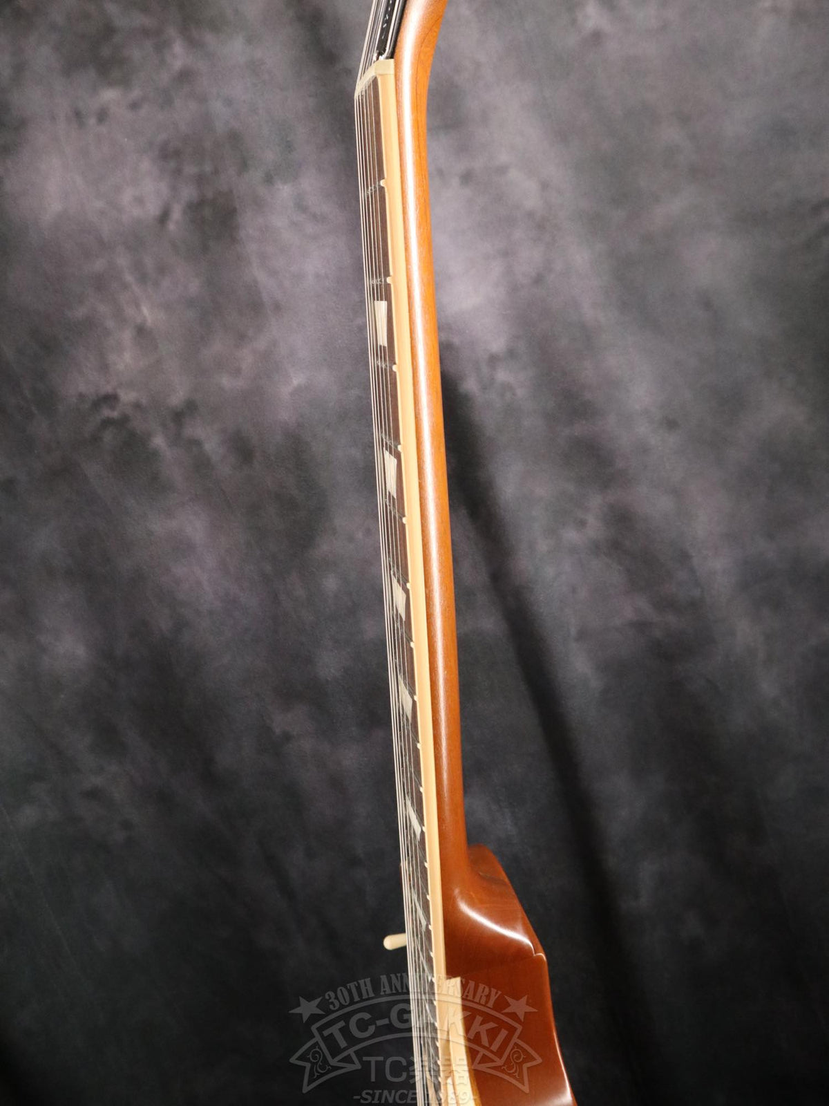 Gibson Les Paul Standard 50s Faded - TC楽器 - TCGAKKI