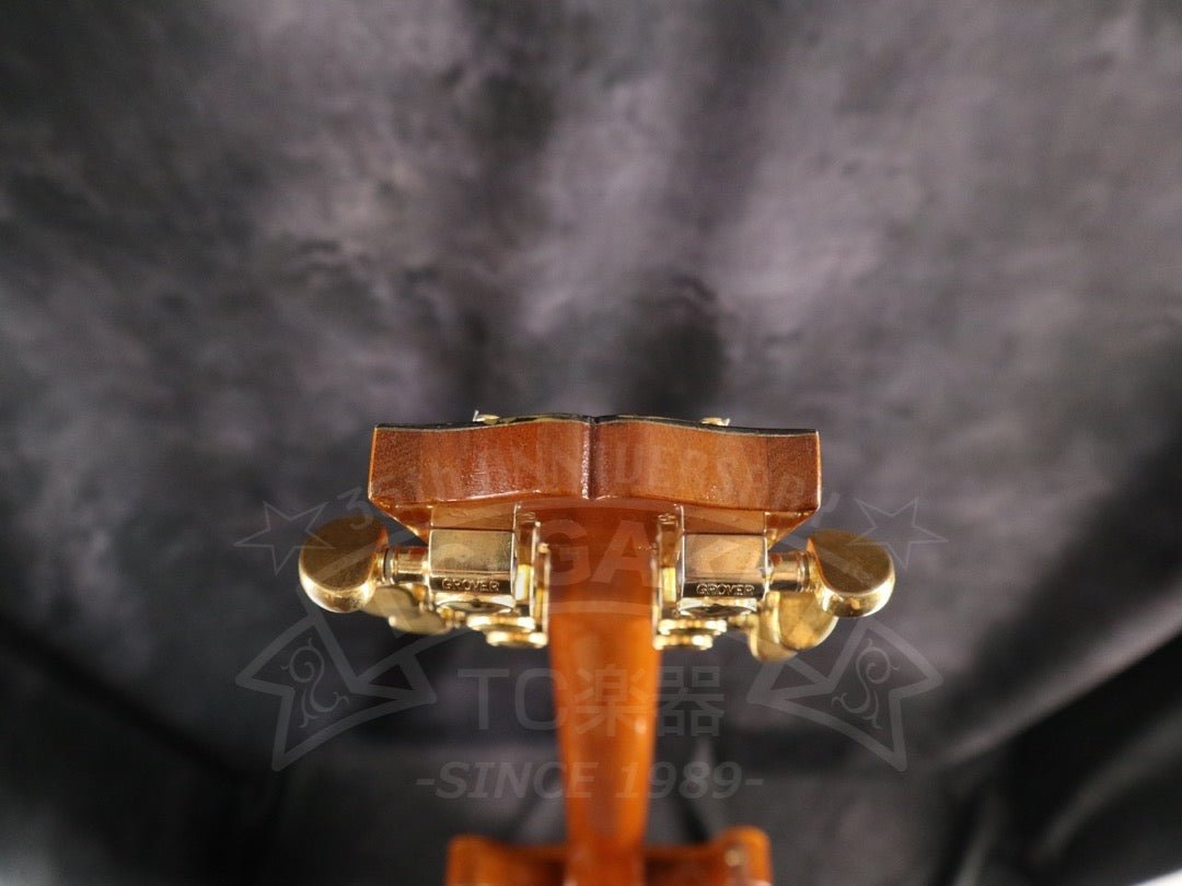Gibson Les Paul Standard DC - TC楽器 - TCGAKKI