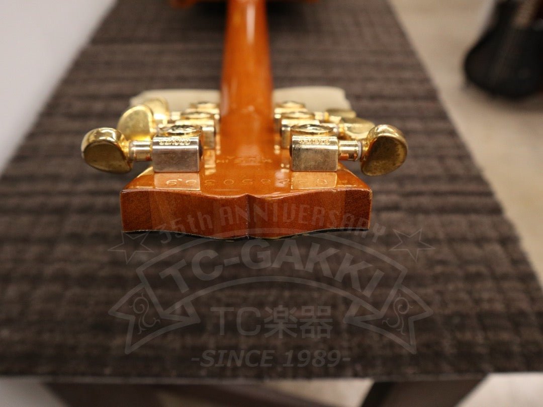 Gibson Les Paul Standard DC - TC楽器 - TCGAKKI