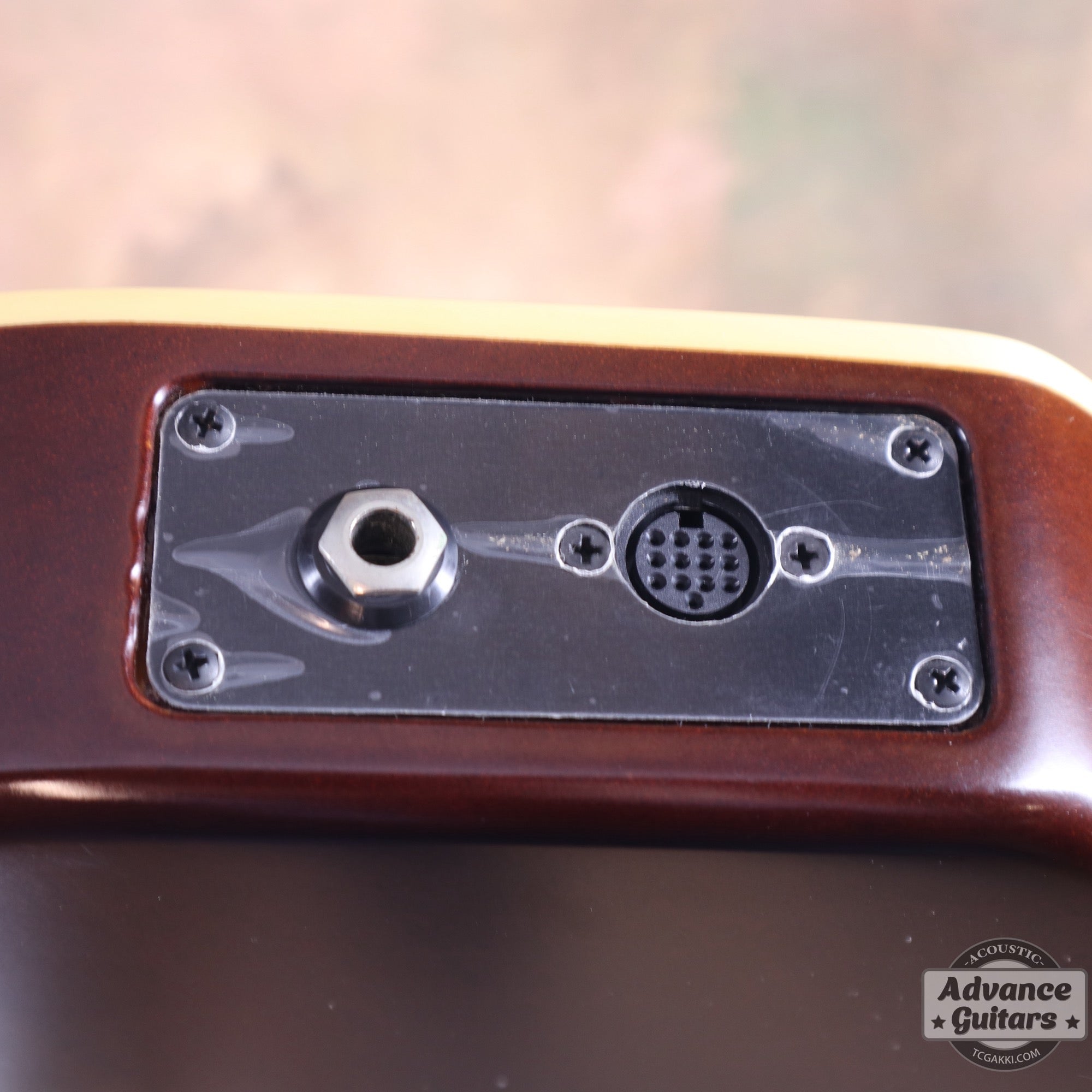 Godin 2002年製 Multiac Nylon SG - TC楽器 - TCGAKKI