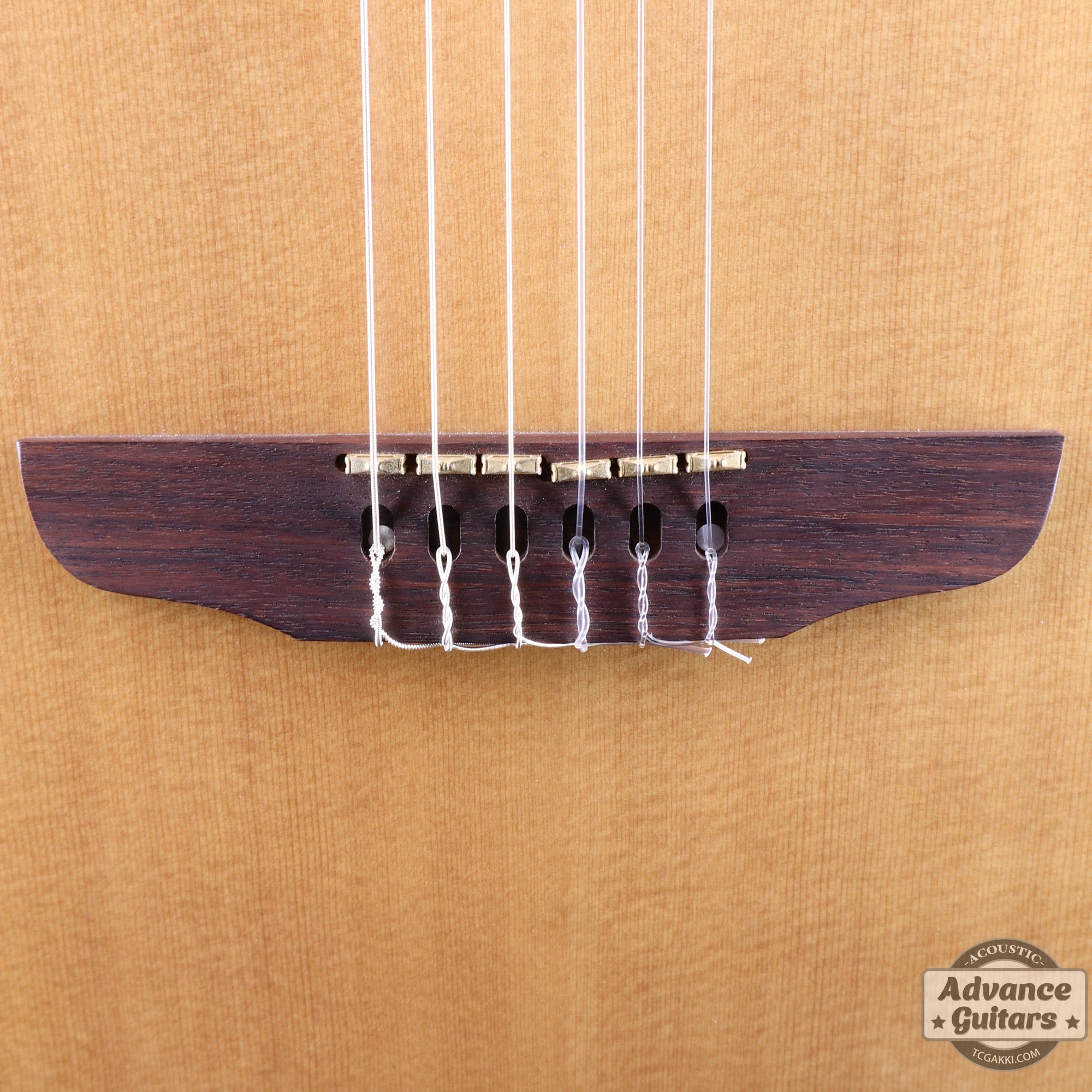 Godin 2002年製 Multiac Nylon SG - TC楽器 - TCGAKKI