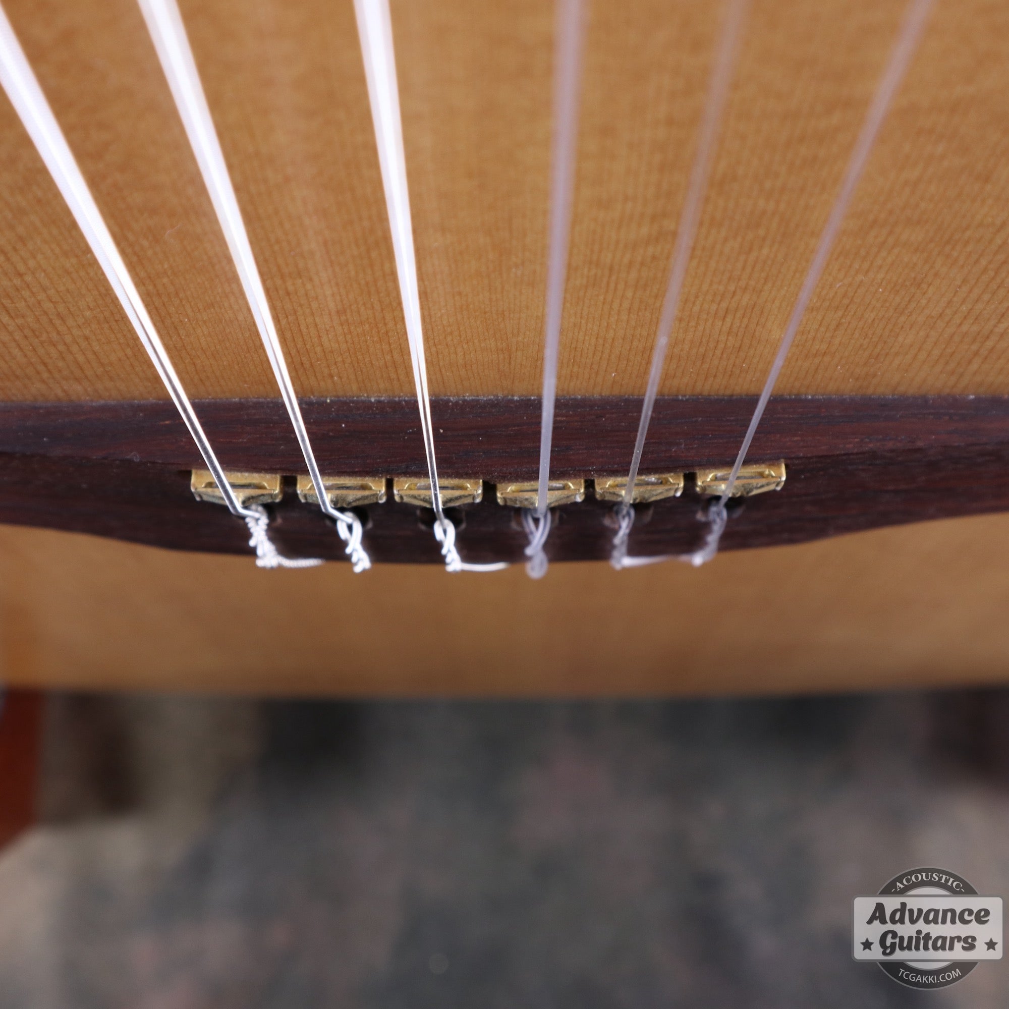 Godin 2002年製 Multiac Nylon SG - TC楽器 - TCGAKKI