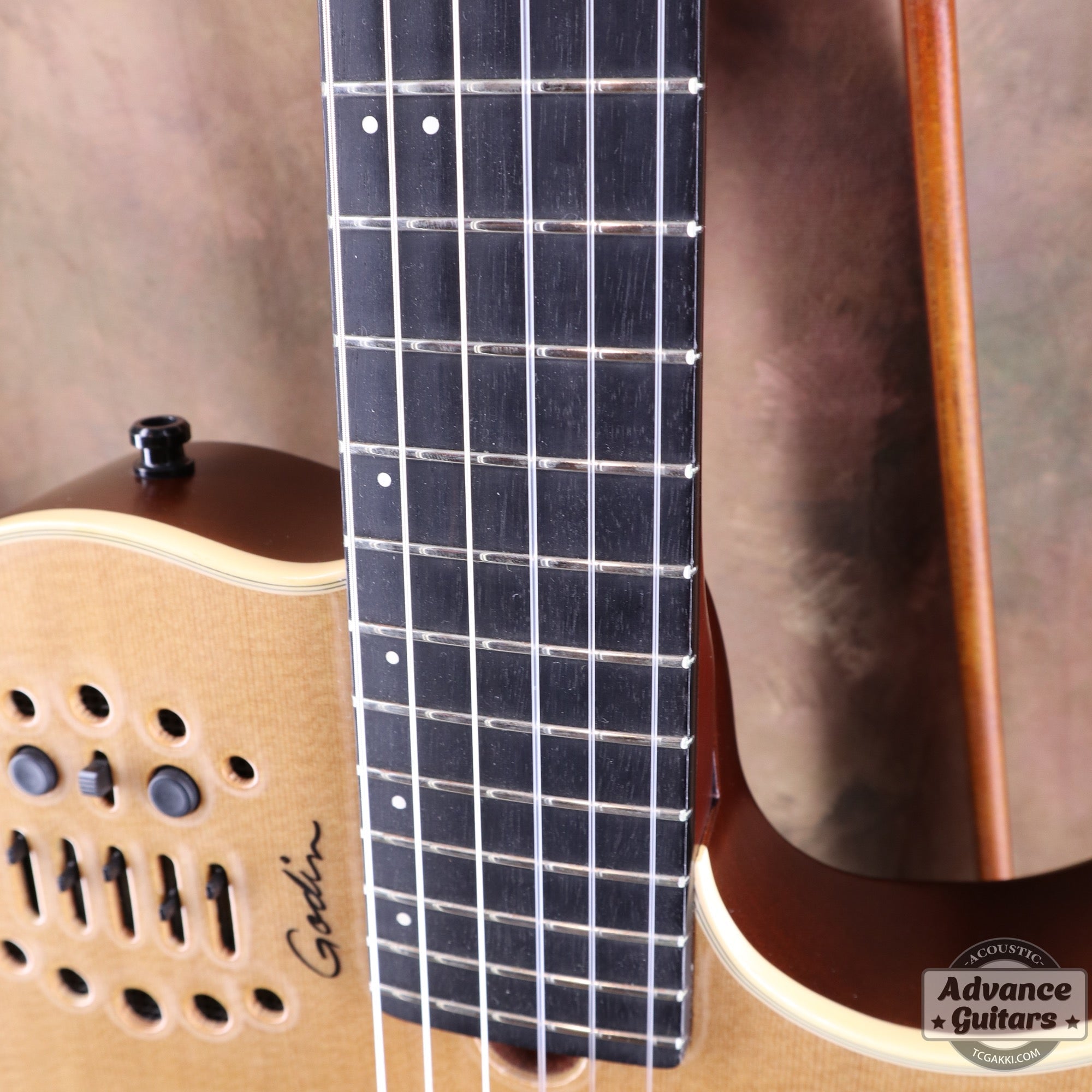 Godin 2002年製 Multiac Nylon SG - TC楽器 - TCGAKKI