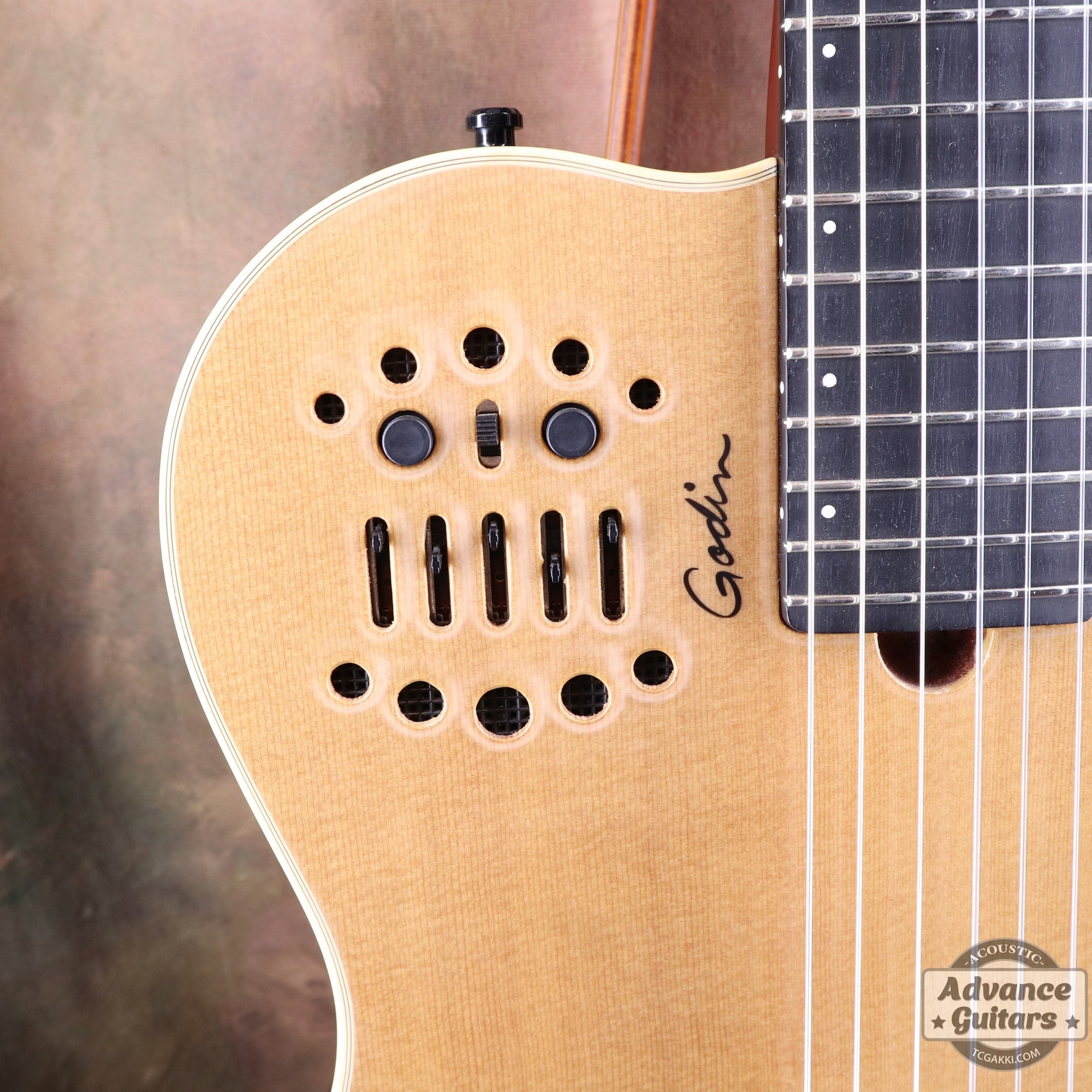 Godin 2002年製 Multiac Nylon SG - TC楽器 - TCGAKKI