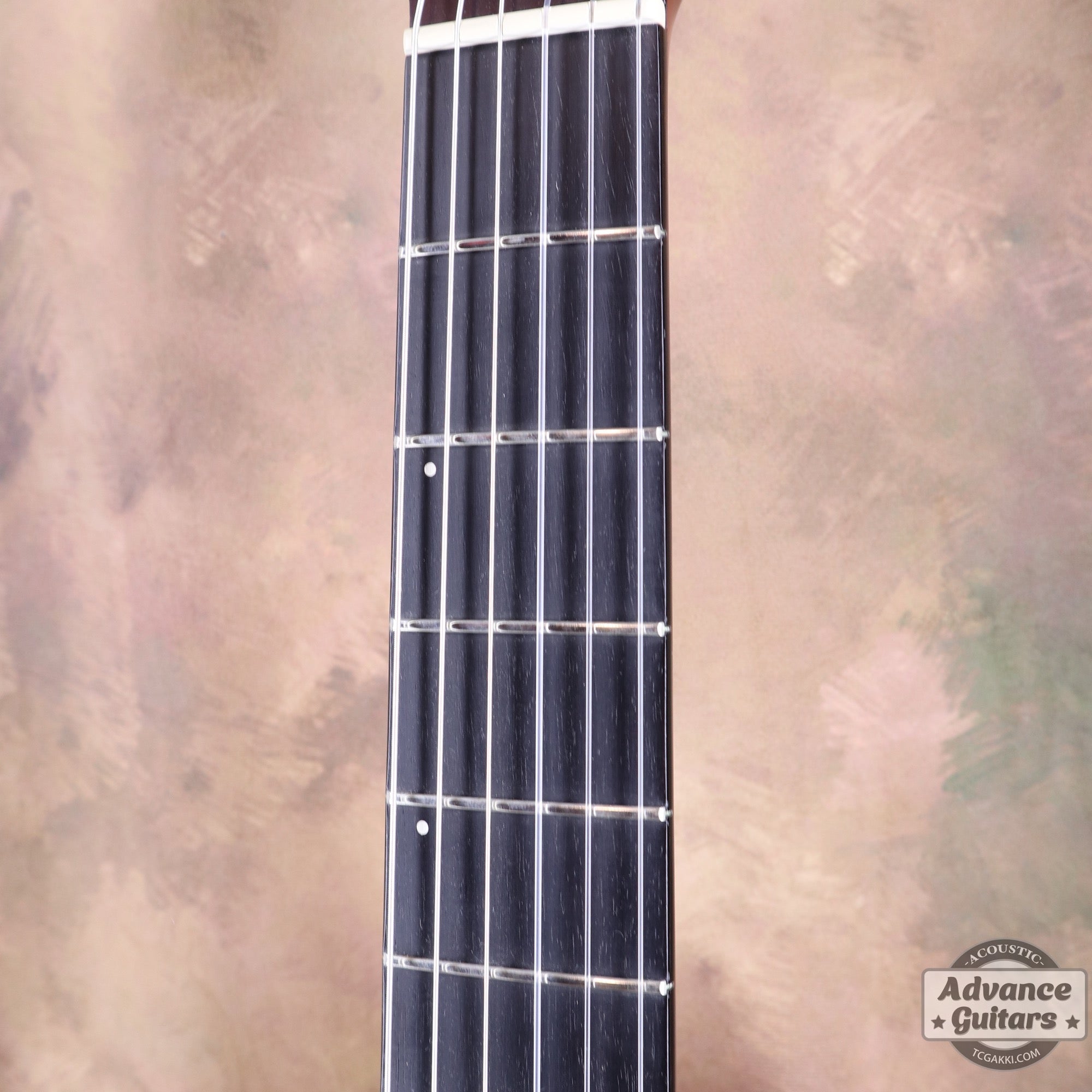 Godin 2002年製 Multiac Nylon SG - TC楽器 - TCGAKKI