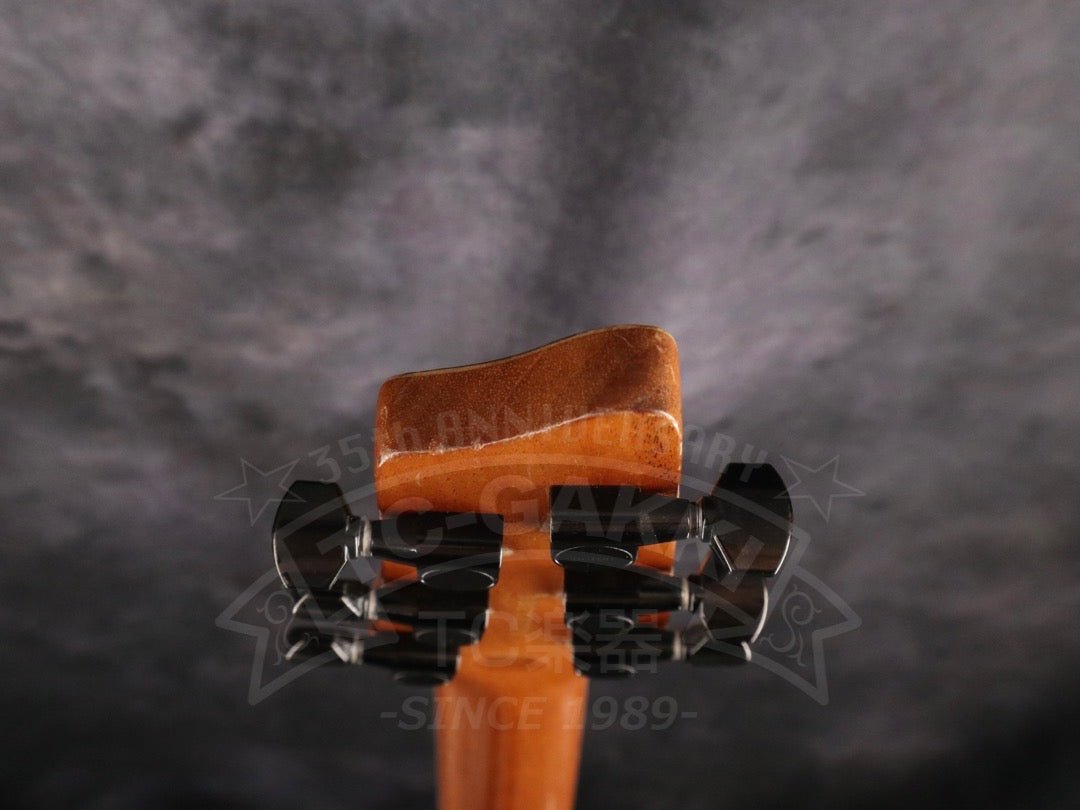 Godin LGXT - TC楽器 - TCGAKKI