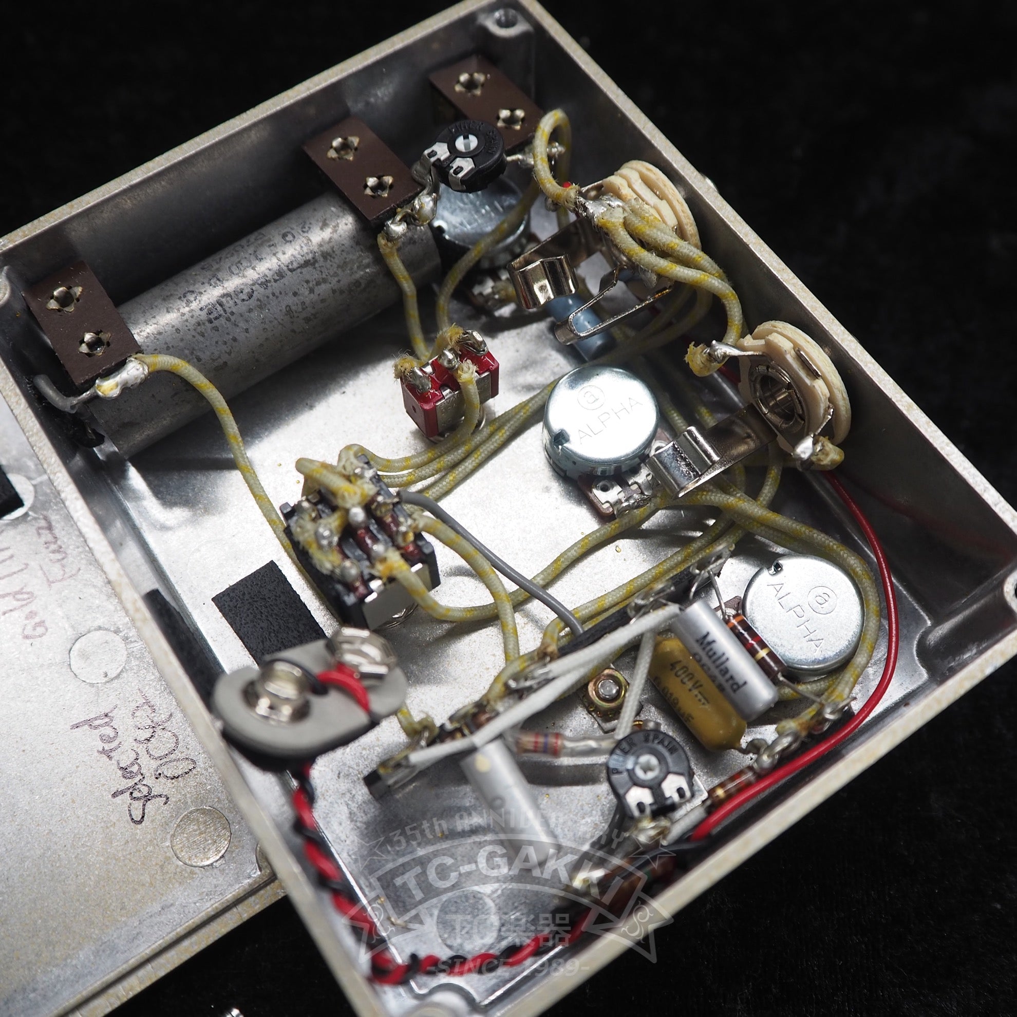 Gold IPA Fuzz - TC楽器 - TCGAKKI