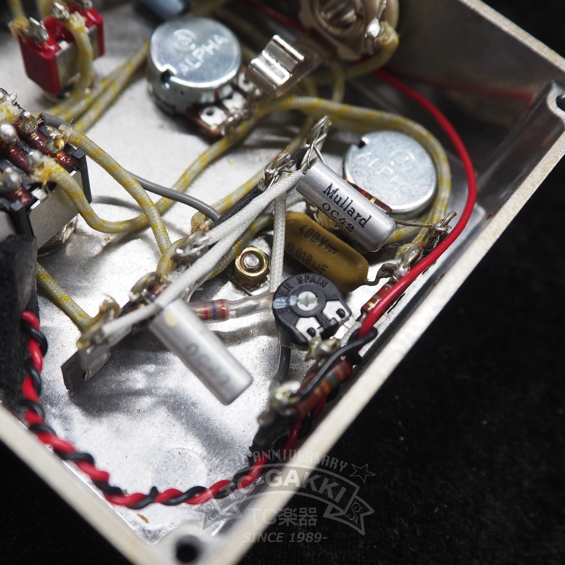Gold IPA Fuzz - TC楽器 - TCGAKKI