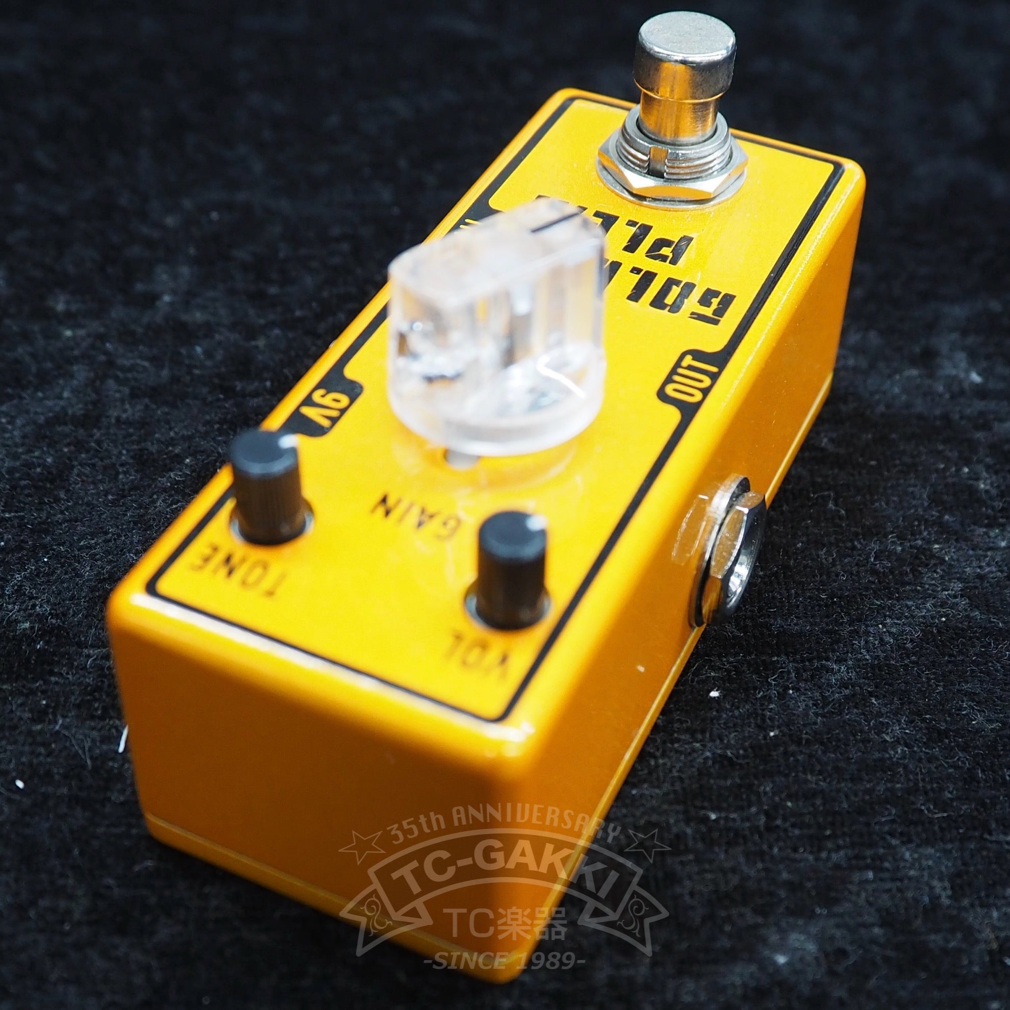 GOLDEN PLEXI - TC楽器 - TCGAKKI