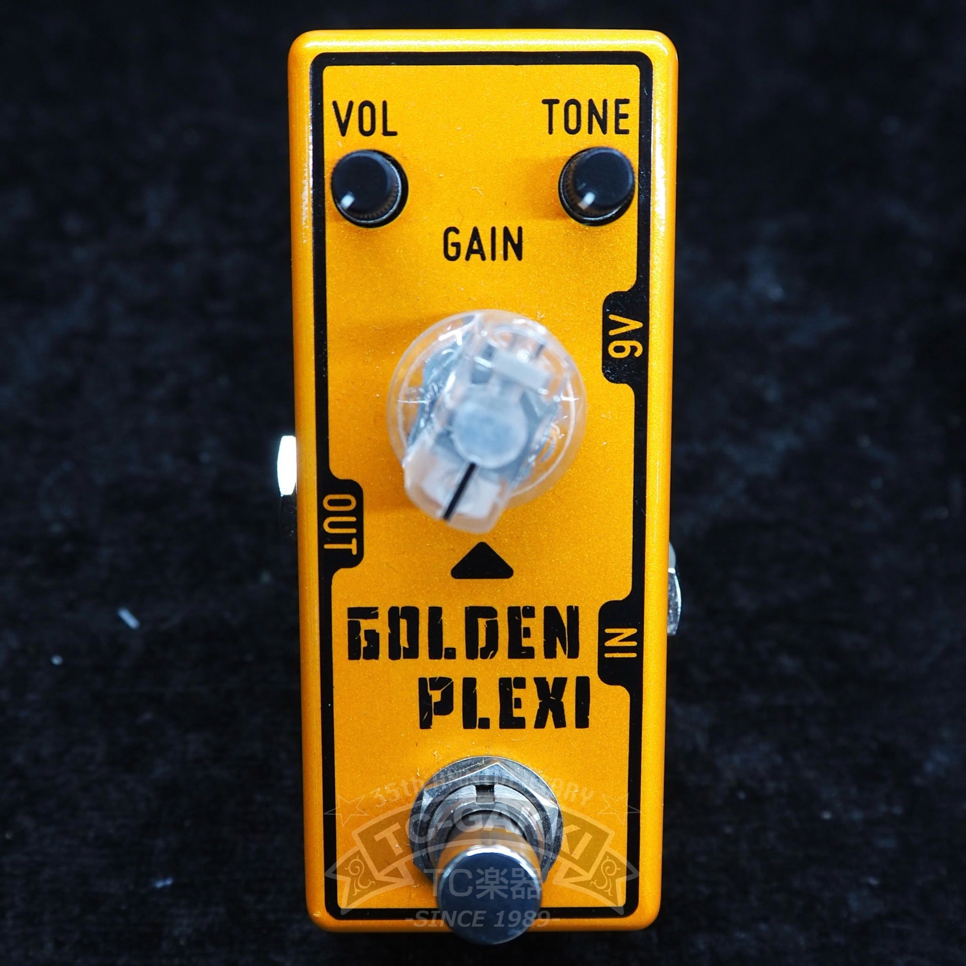 GOLDEN PLEXI - TC楽器 - TCGAKKI