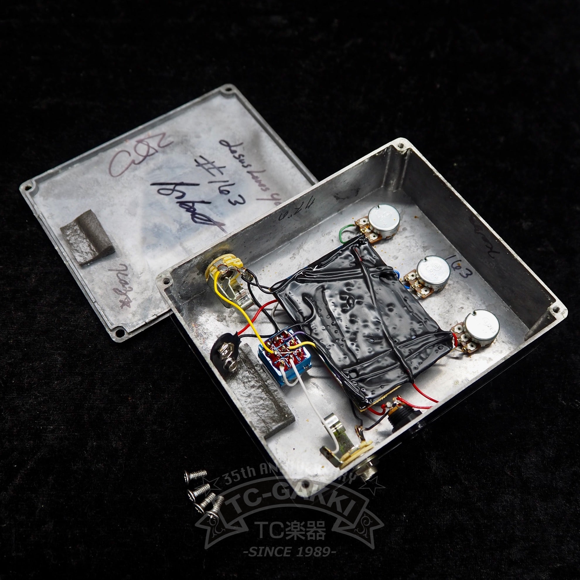 GR8T DISTORTION - TC楽器 - TCGAKKI