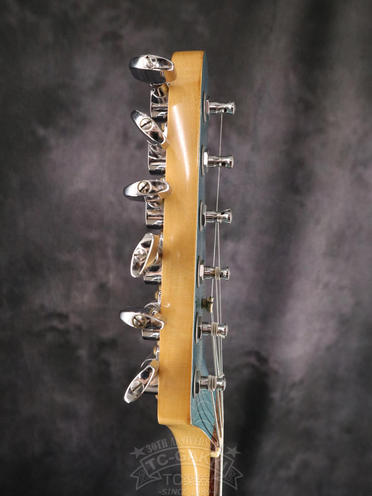 Greco DSE-600 - TC楽器 - TCGAKKI