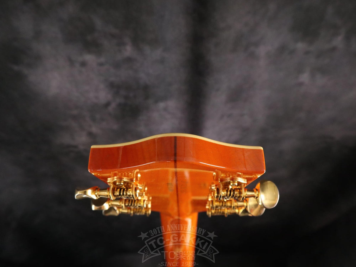 Gretsch 6120EC - TC楽器 - TCGAKKI