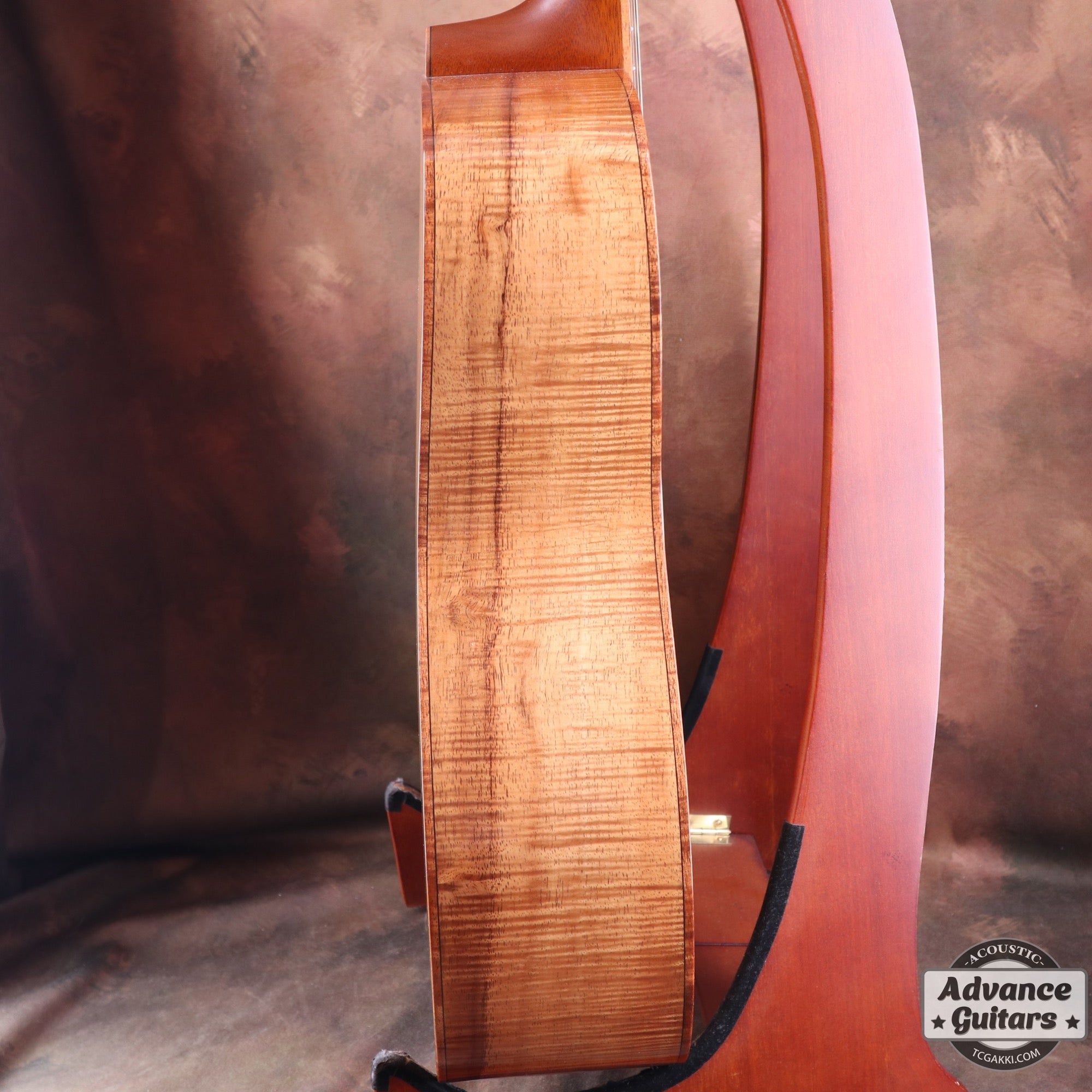 H Hawaiian Koawood - TC楽器 - TCGAKKI