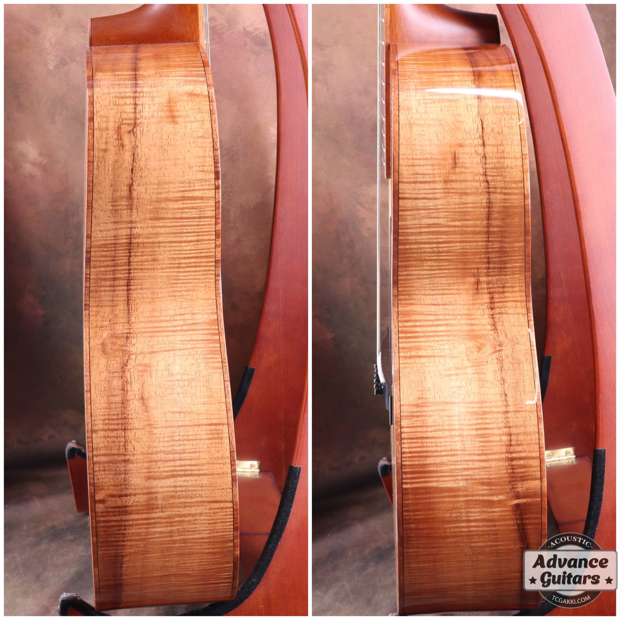 H Hawaiian Koawood - TC楽器 - TCGAKKI