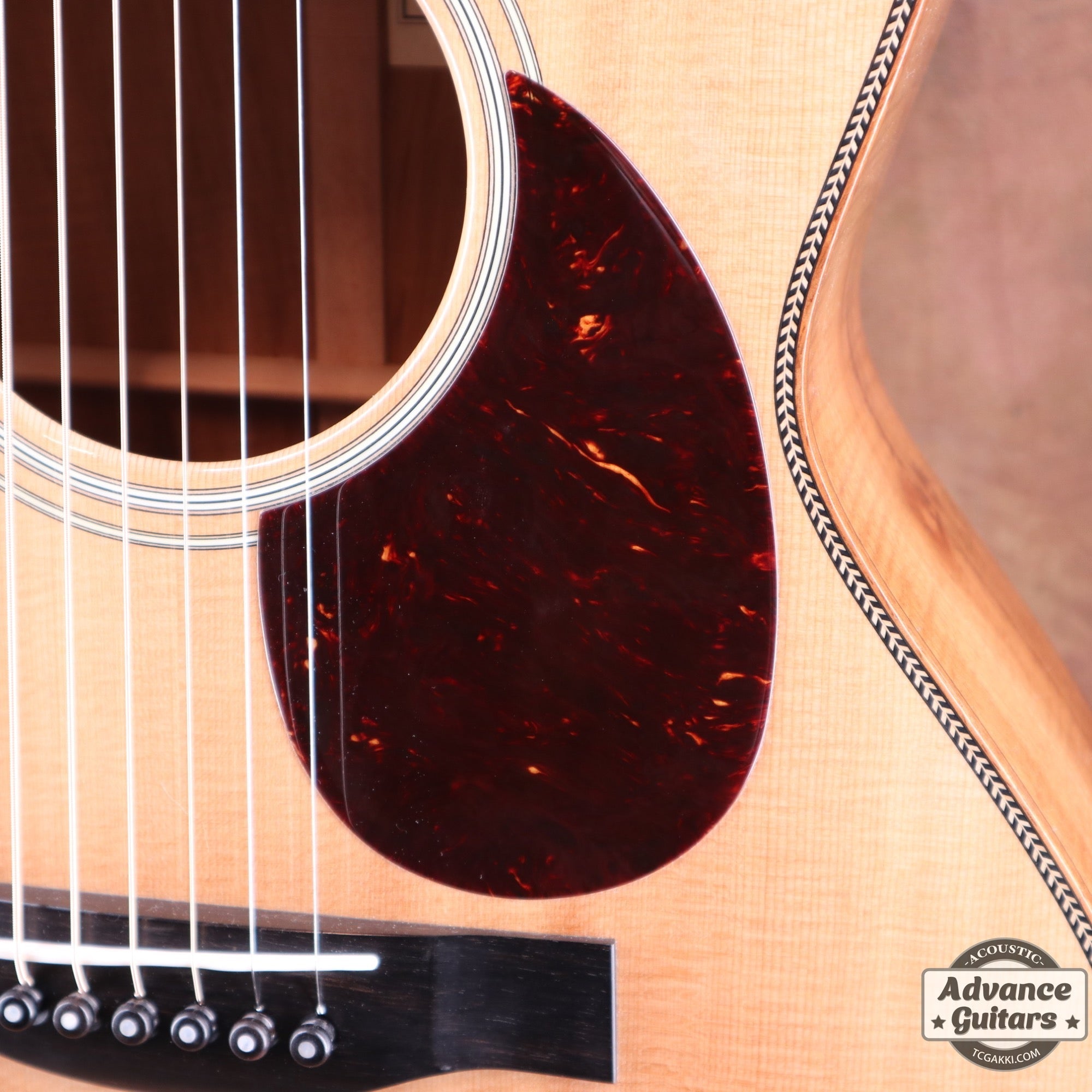 H Hawaiian Koawood - TC楽器 - TCGAKKI