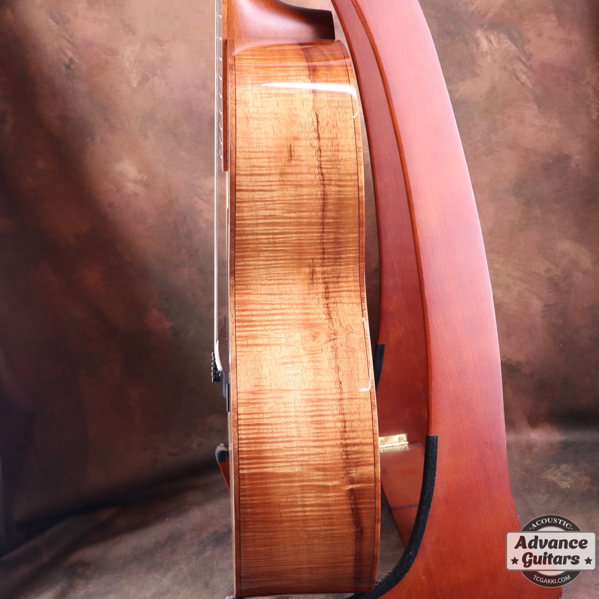 H Hawaiian Koawood - TC楽器 - TCGAKKI