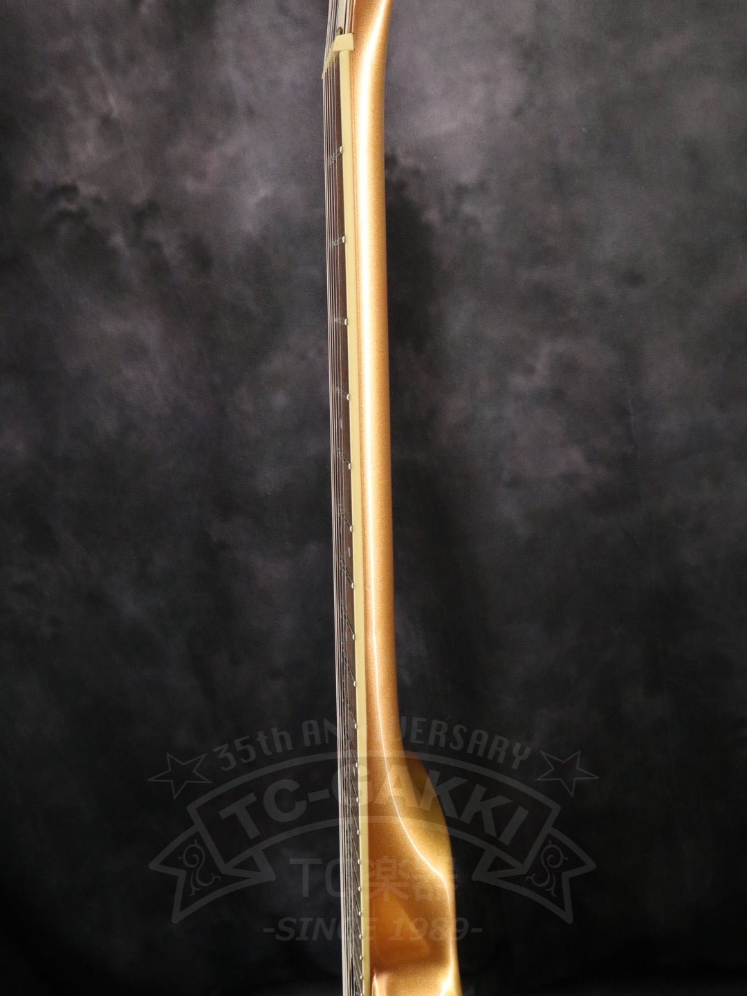 Harmony H44 Stratotone Reissue - TC楽器 - TCGAKKI