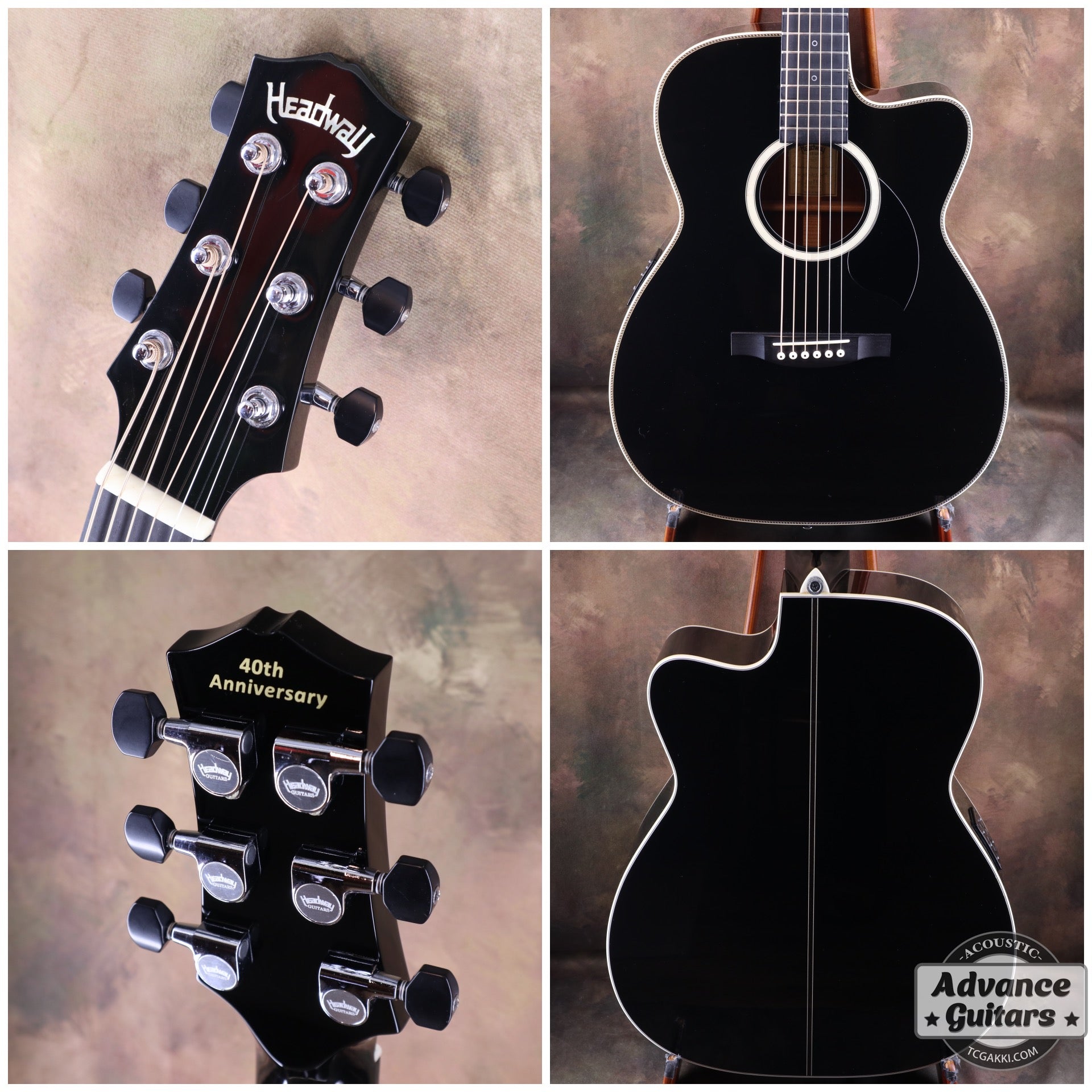 HC - 313 STD 40th Anniversary - TC楽器 - TCGAKKI