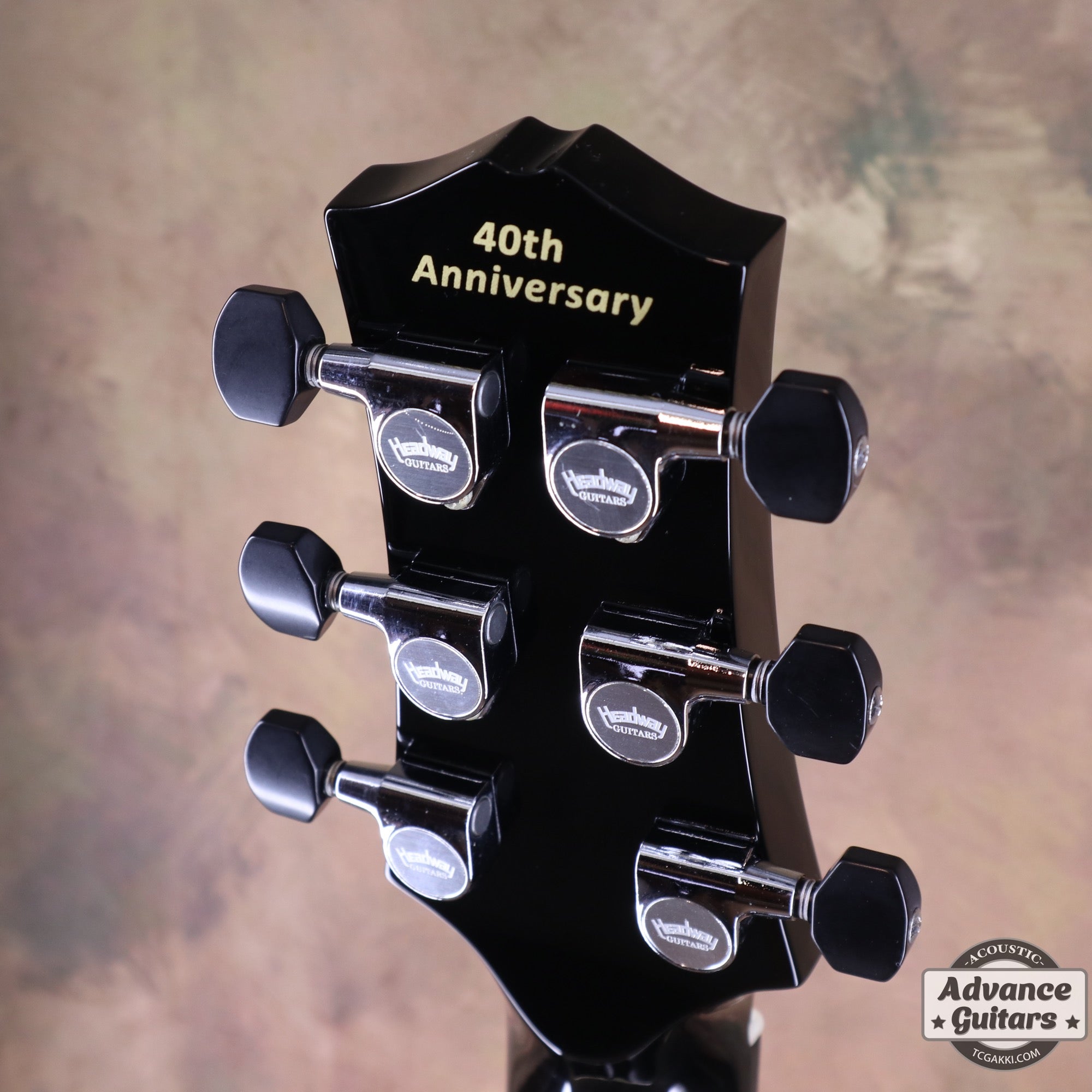 HC - 313 STD 40th Anniversary - TC楽器 - TCGAKKI