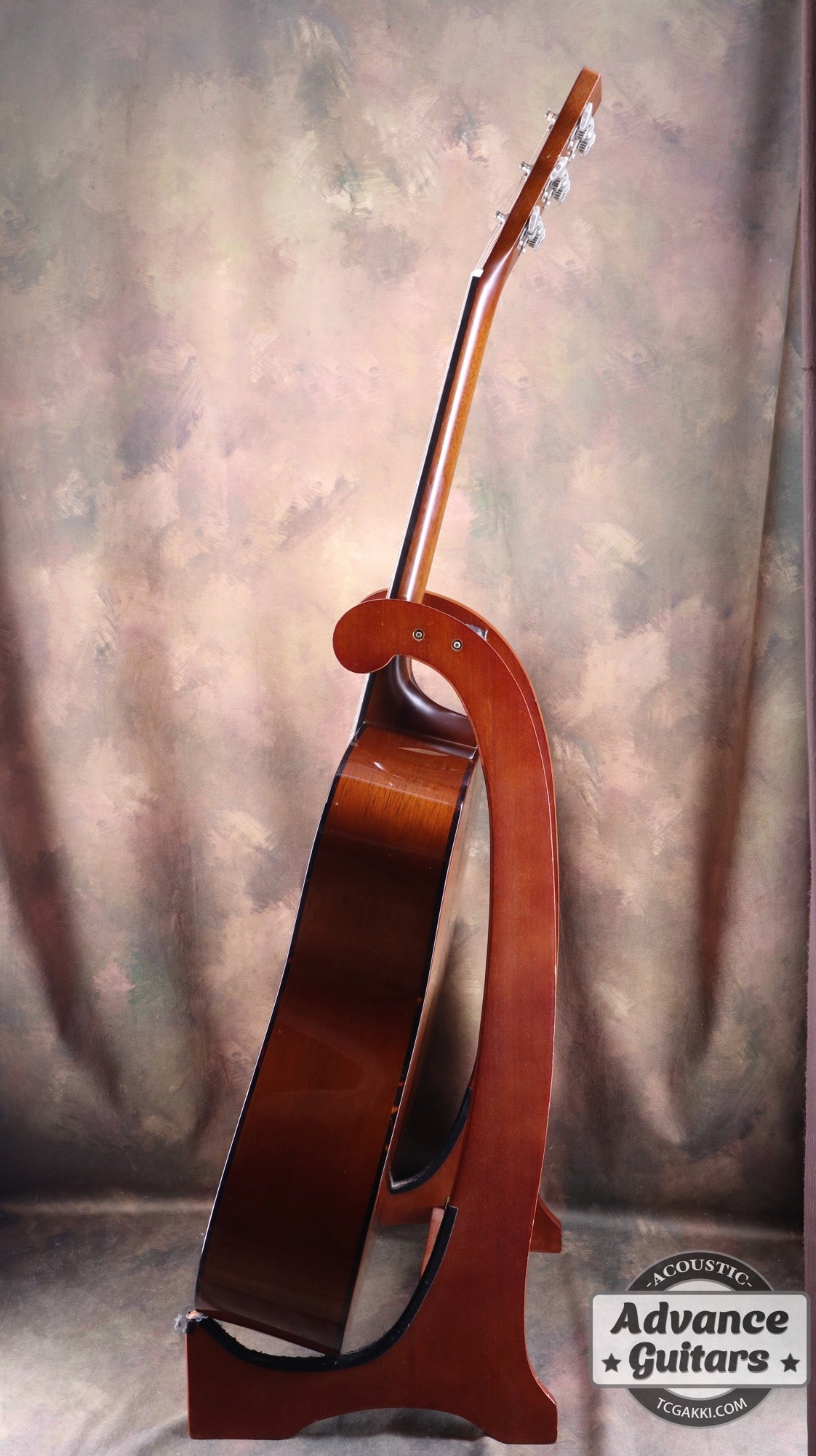 HD - AM - TC楽器 - TCGAKKI