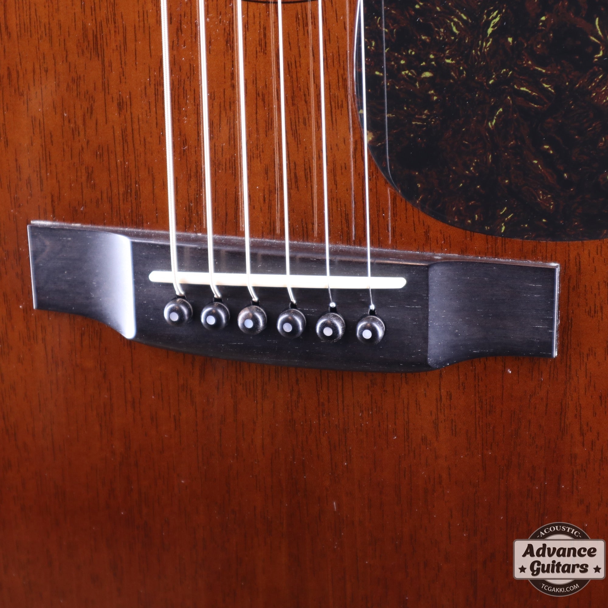 HD - AM - TC楽器 - TCGAKKI