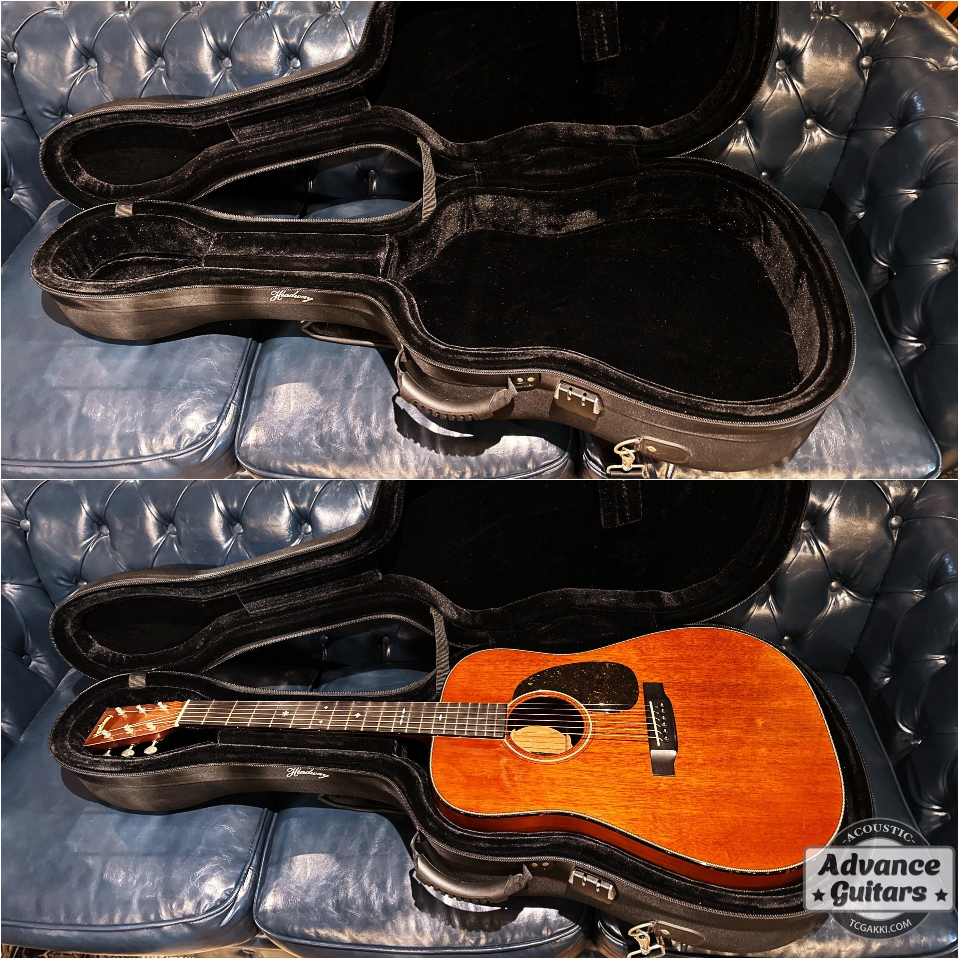 HD - AM - TC楽器 - TCGAKKI