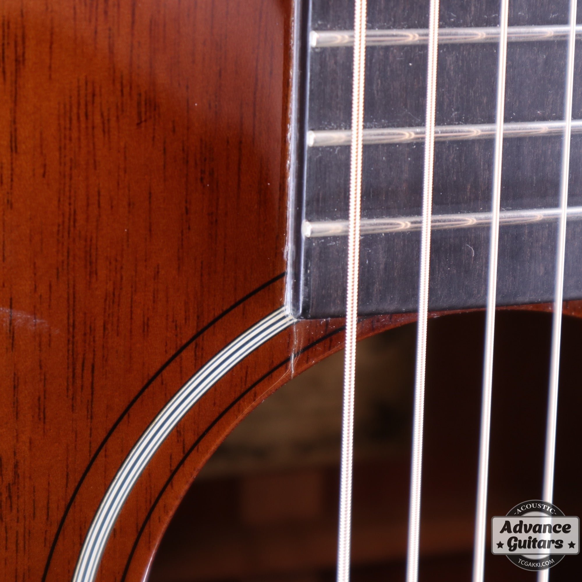 HD - AM - TC楽器 - TCGAKKI