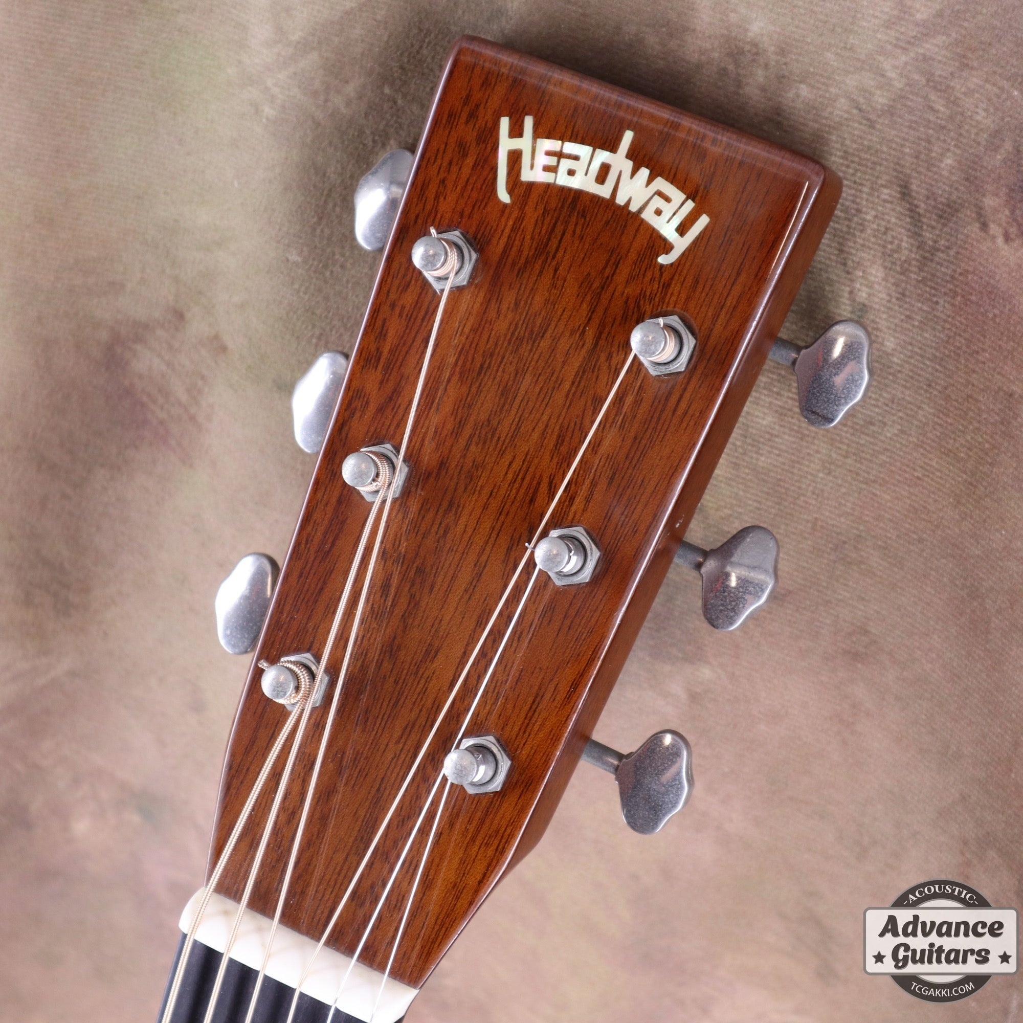 HD - AM - TC楽器 - TCGAKKI