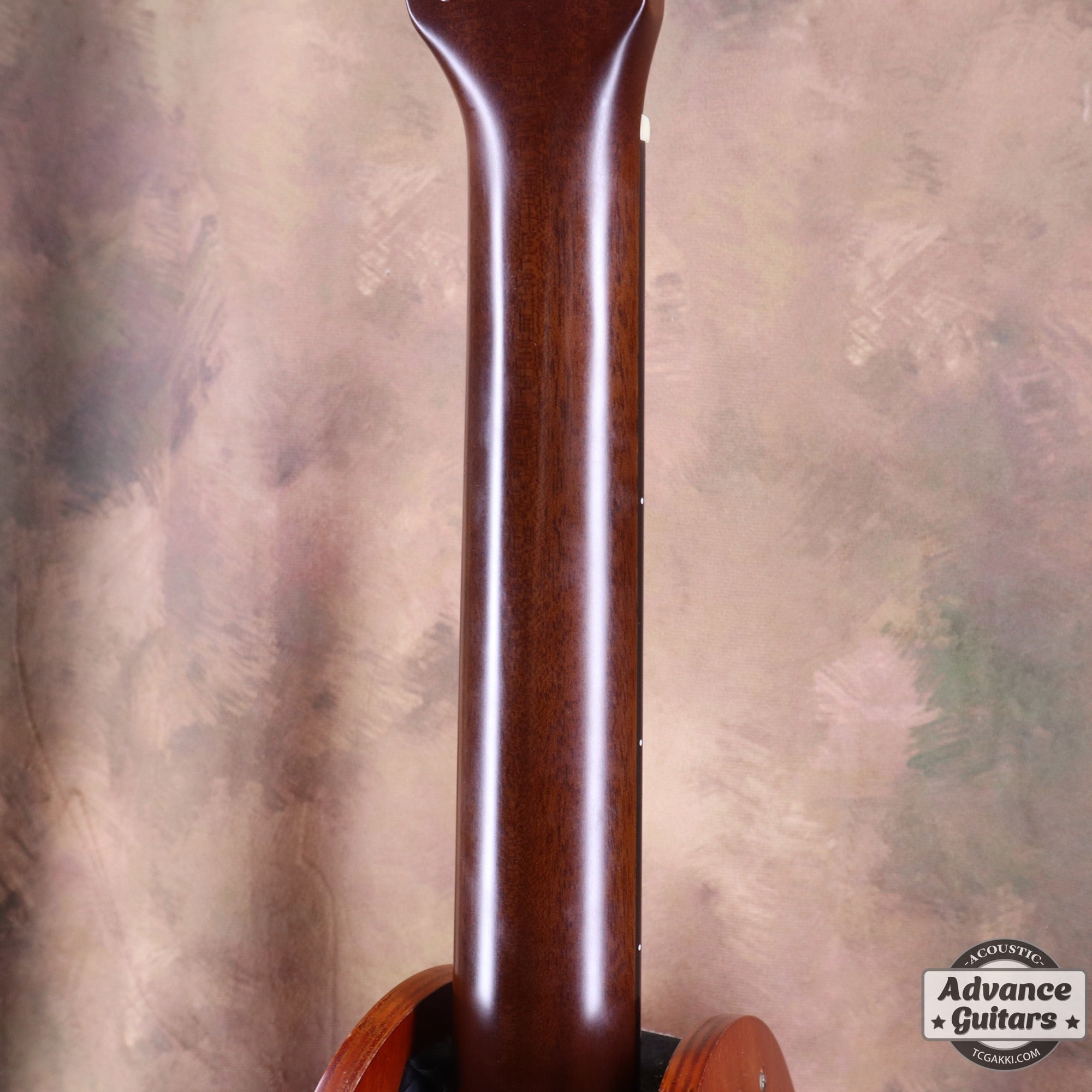 HF - 180 REAR CUSTOM - TC楽器 - TCGAKKI