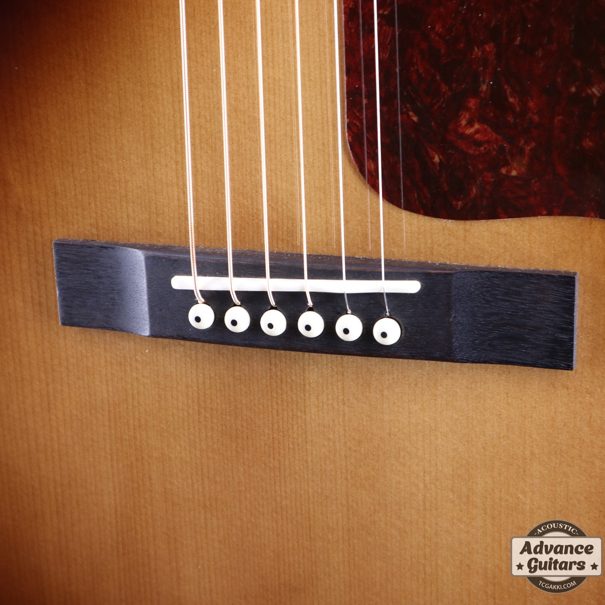 HL - V085SE - TC楽器 - TCGAKKI