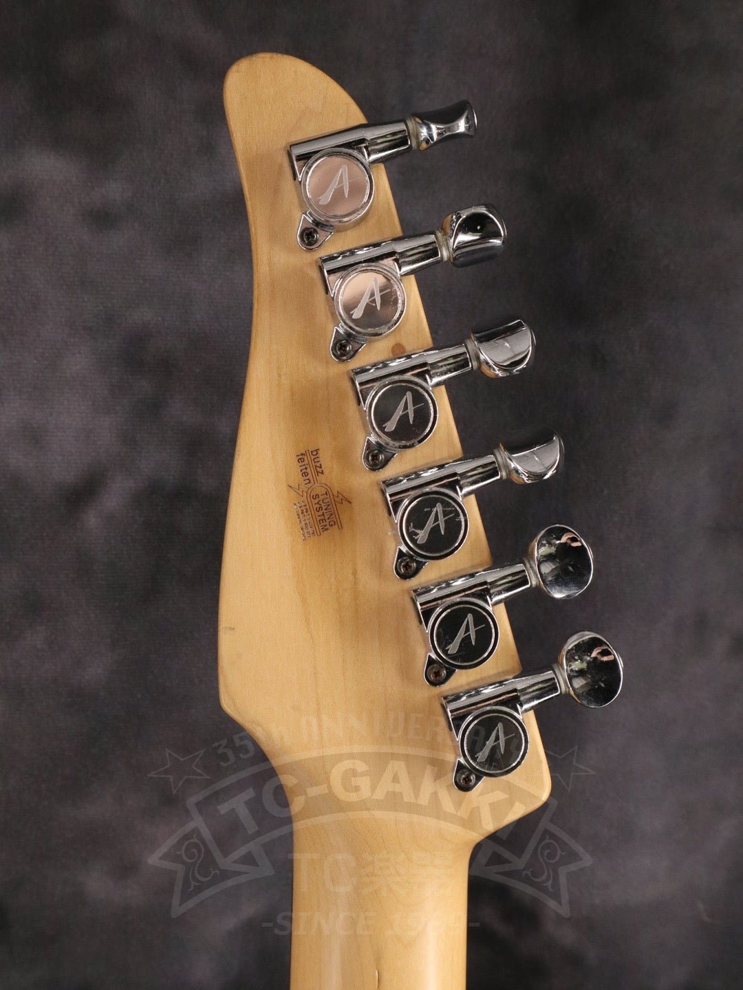 Hollow Classic - TC楽器 - TCGAKKI