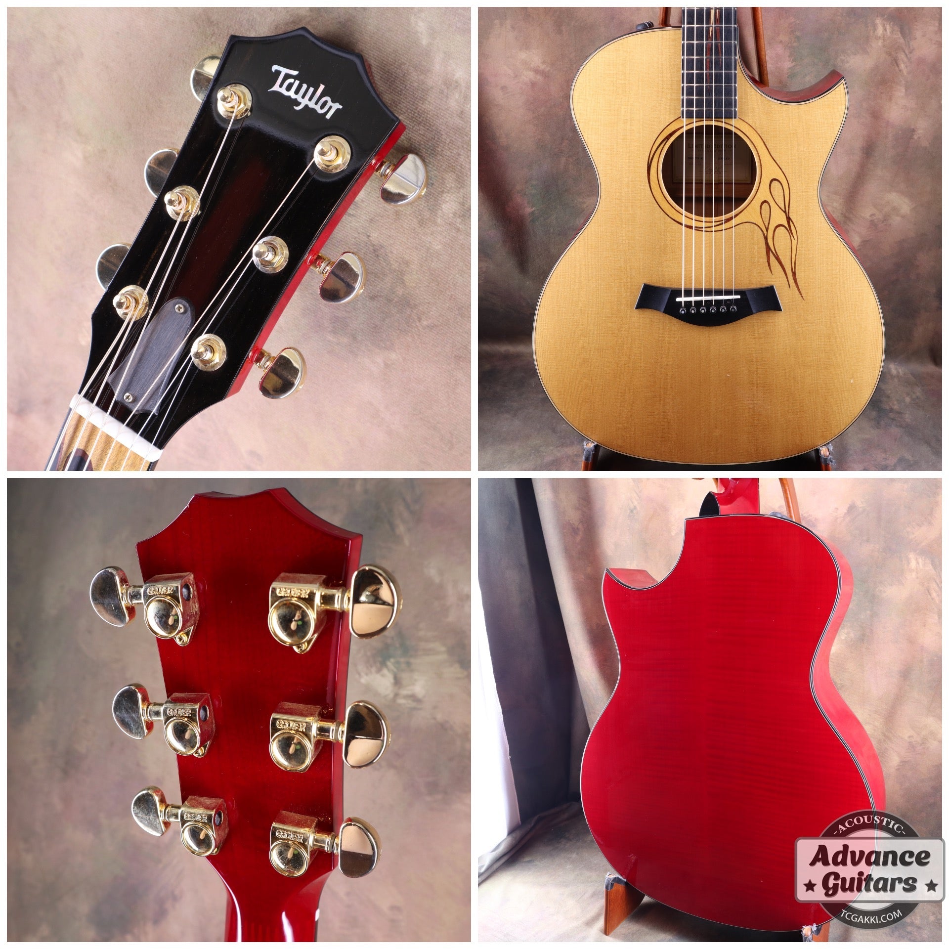 HR - LTD - TC楽器 - TCGAKKI